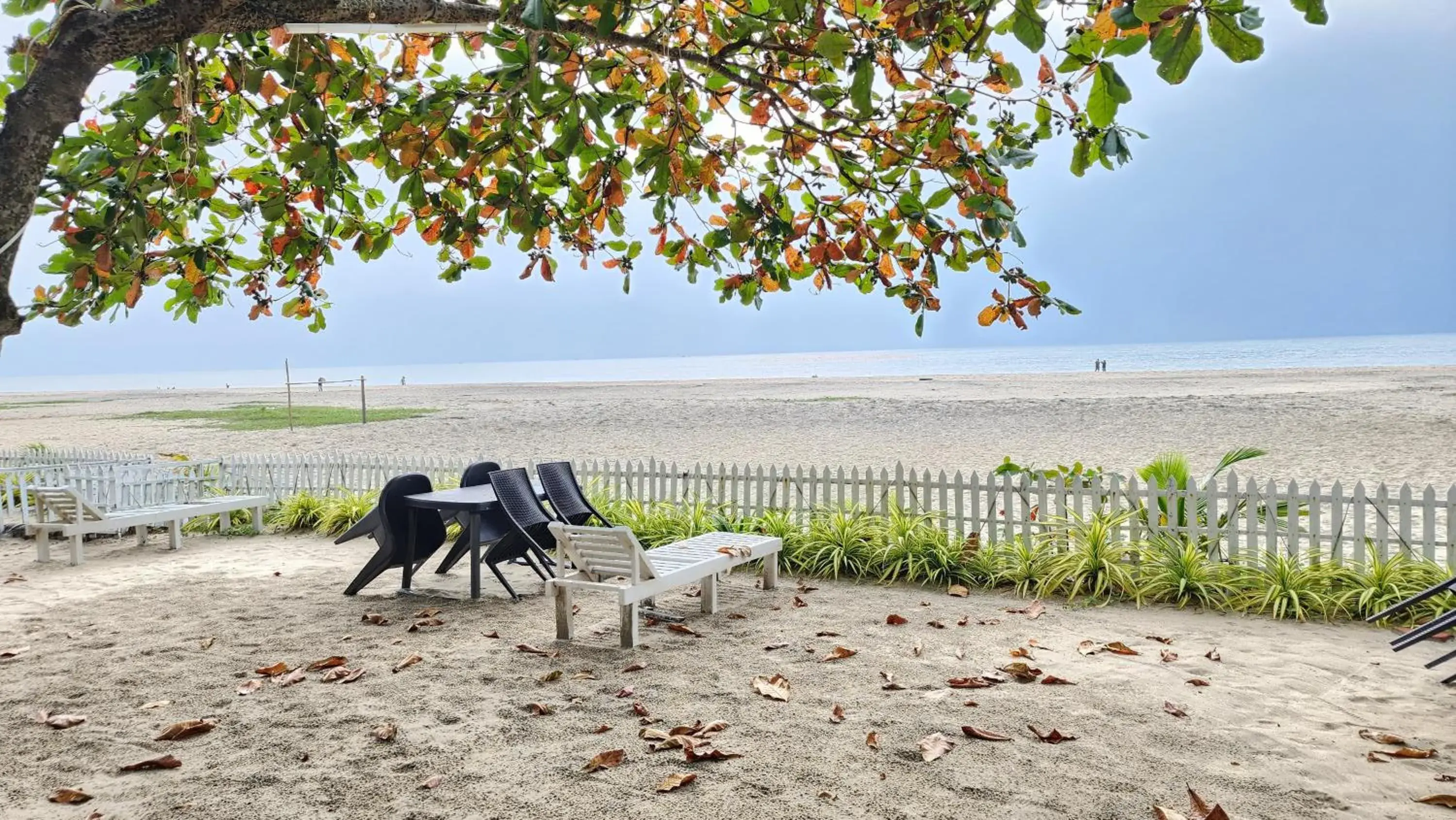 PALM Beach Resort, Alleppey PALM Beach Resort, Alleppey