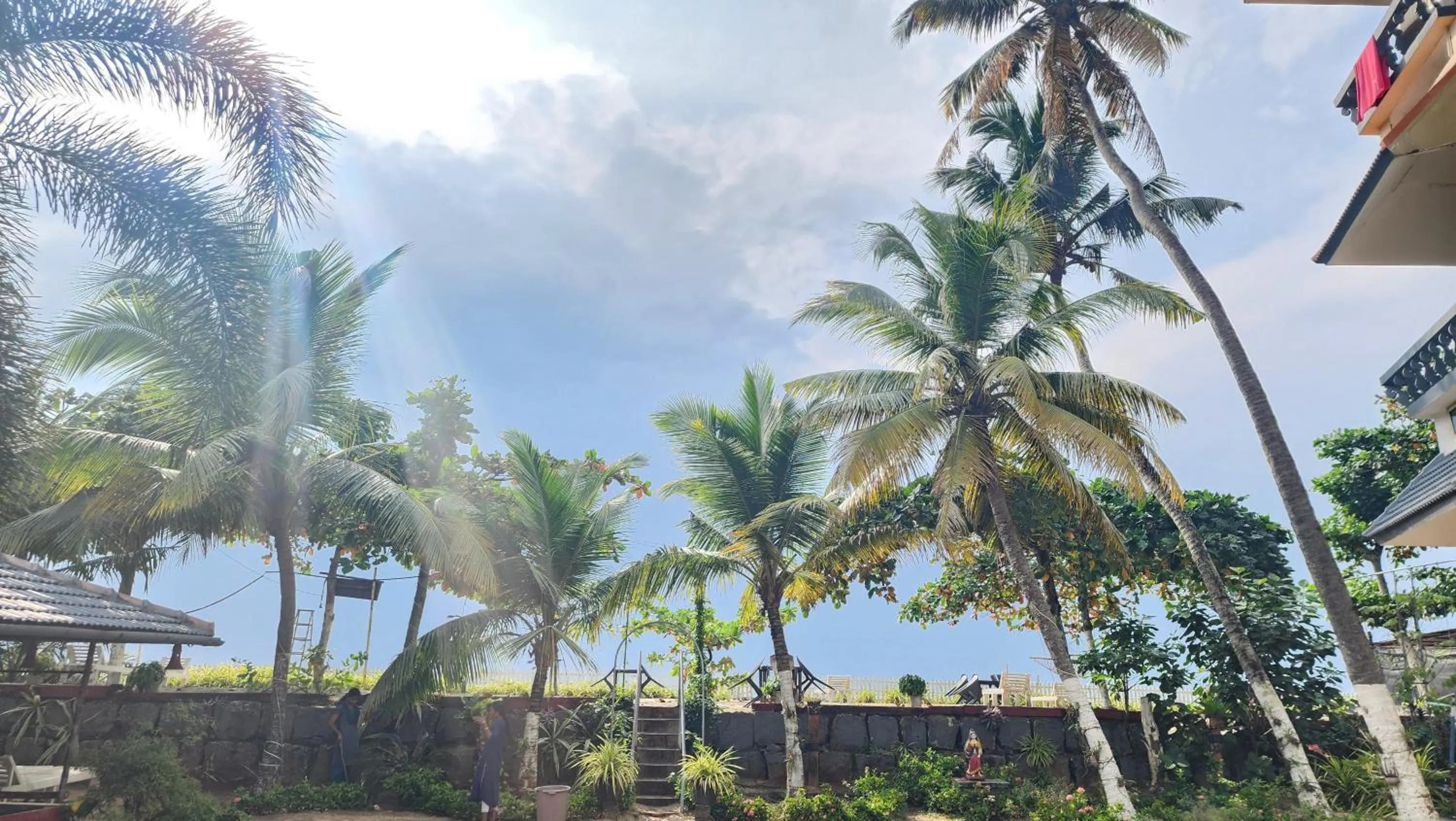 Day in Palm Beach Resort, Alleppey