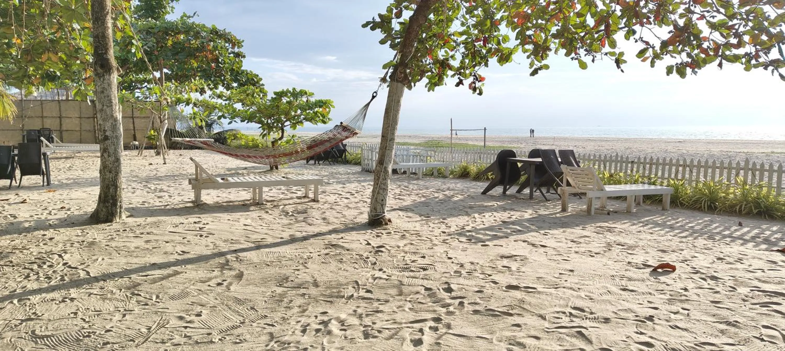 Natural landscape in Palm Beach Resort, Alleppey
