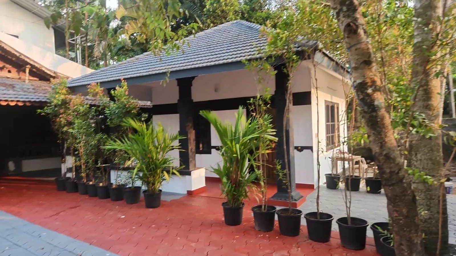 Patio in Palm Beach Resort, Alleppey