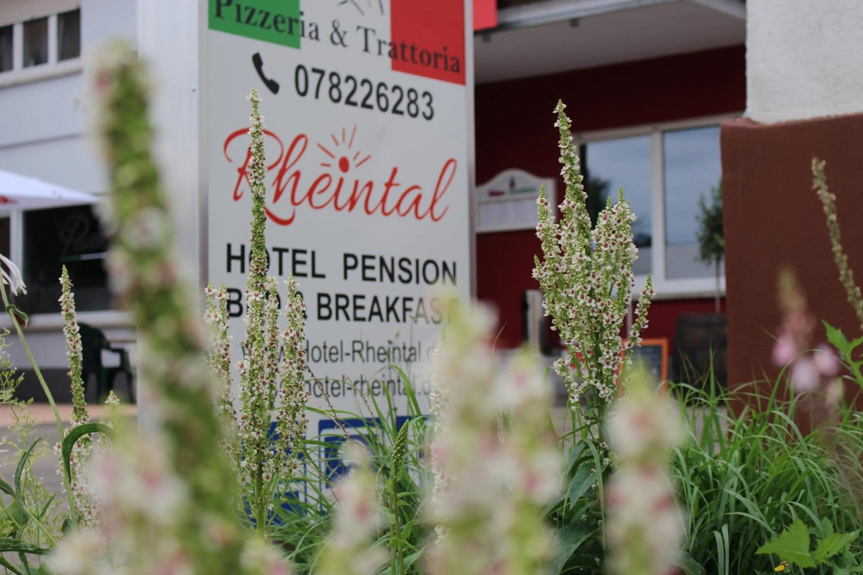 View (from property/room) in Hotel Rheintal