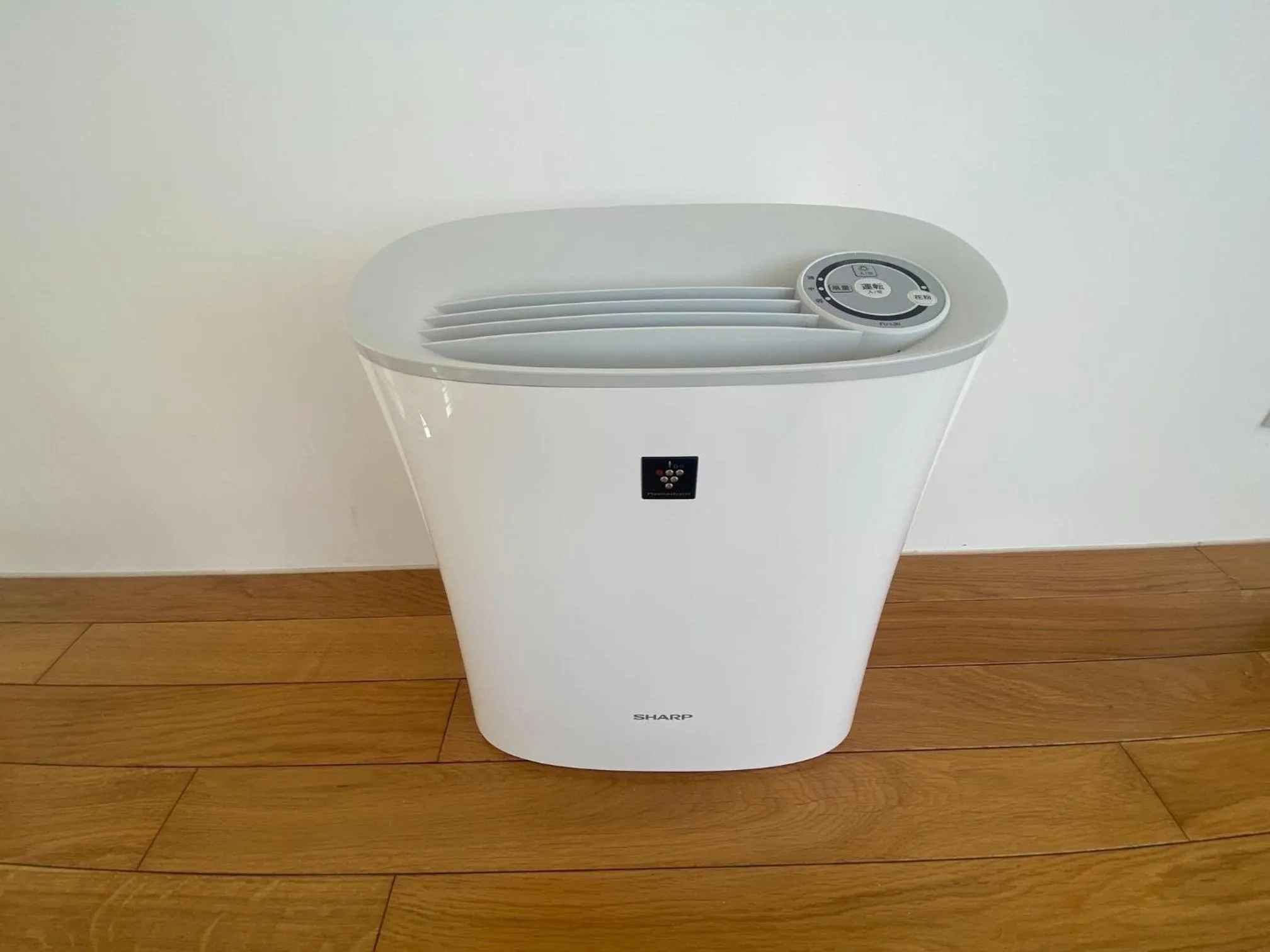 Other in RIZOZAIZEN MOTOBU B