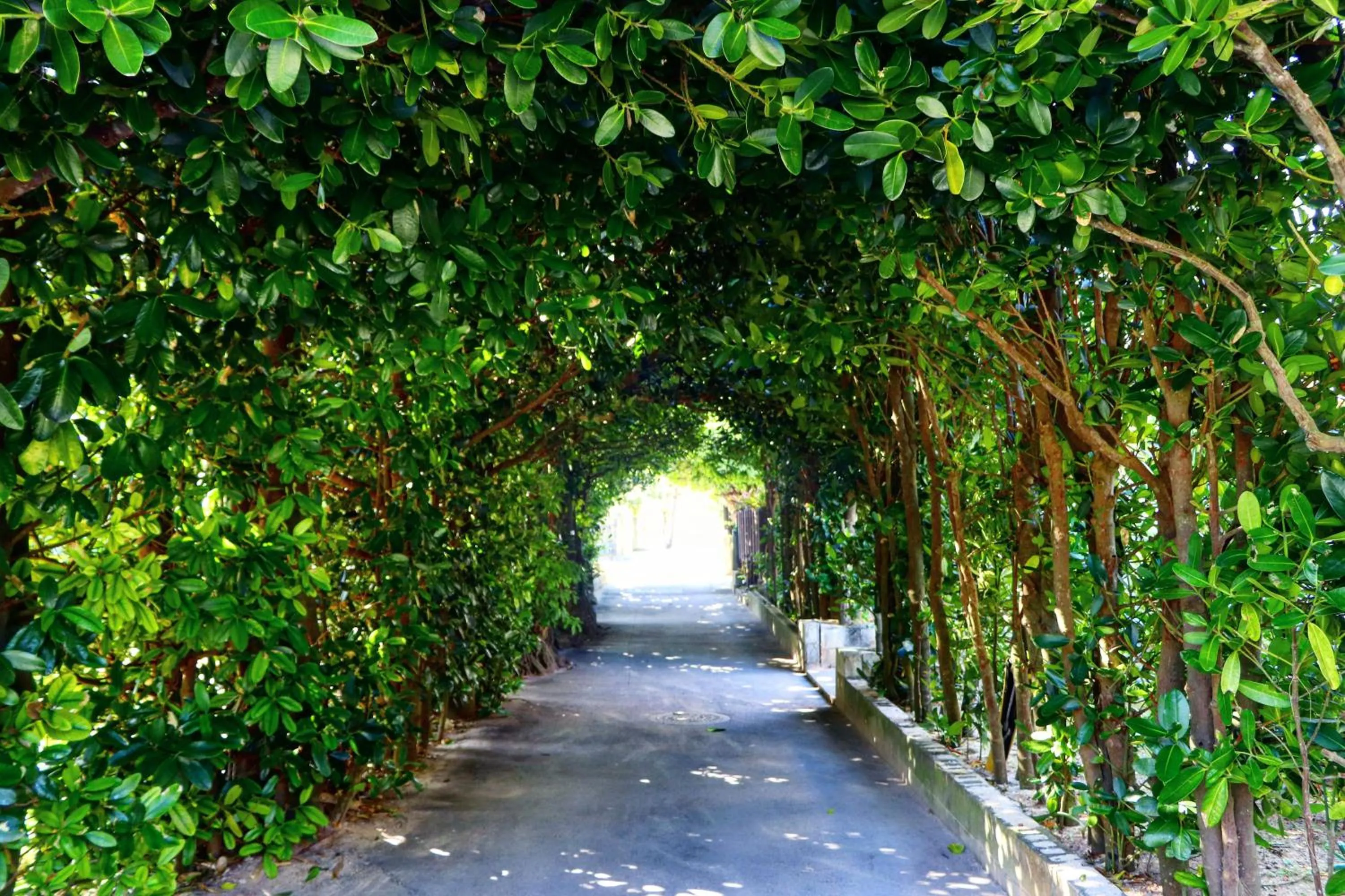 Nearby landmark in RIZOZAIZEN MOTOBU B