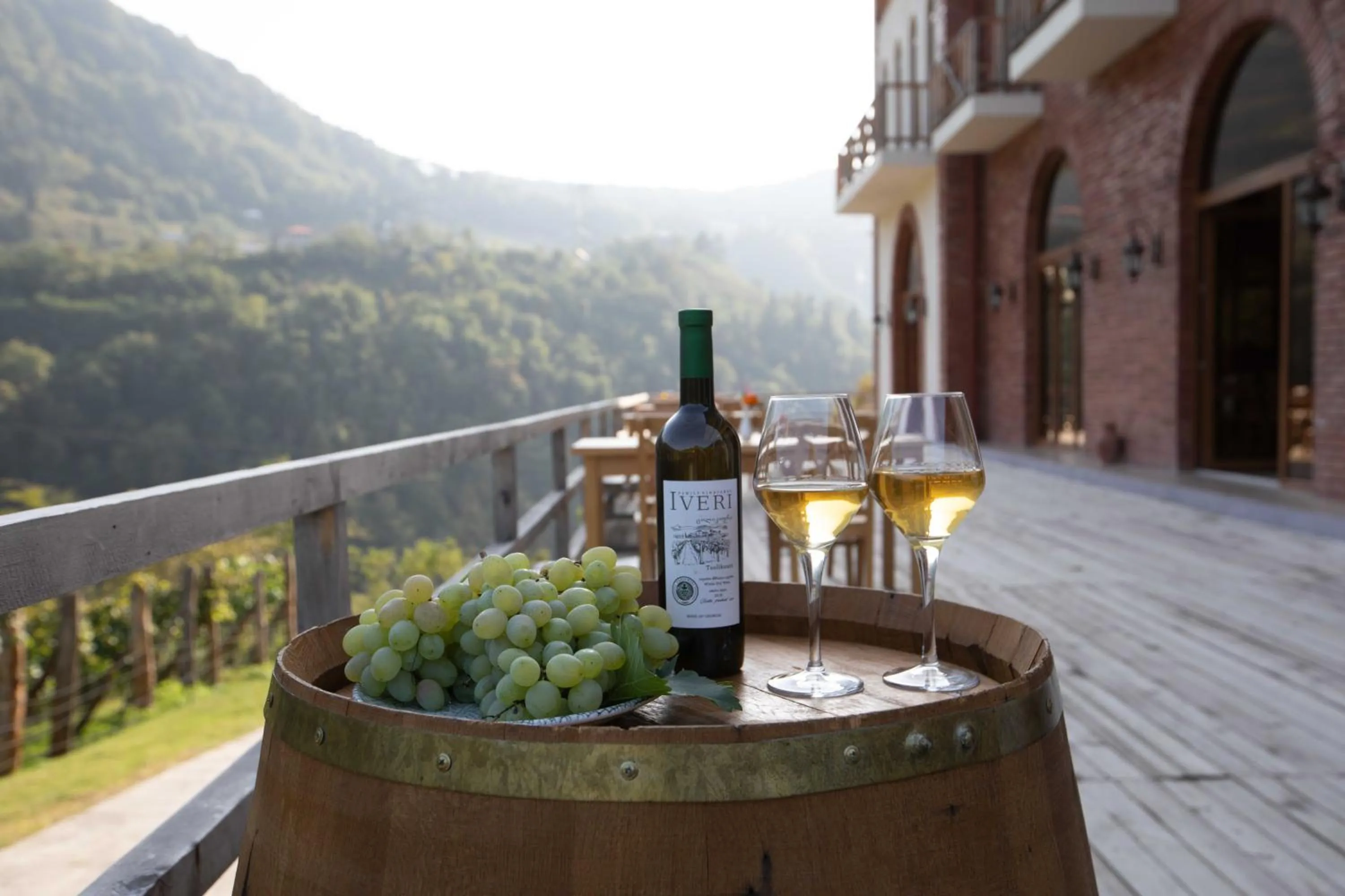 Natural landscape in Hotel Chateau Iveri