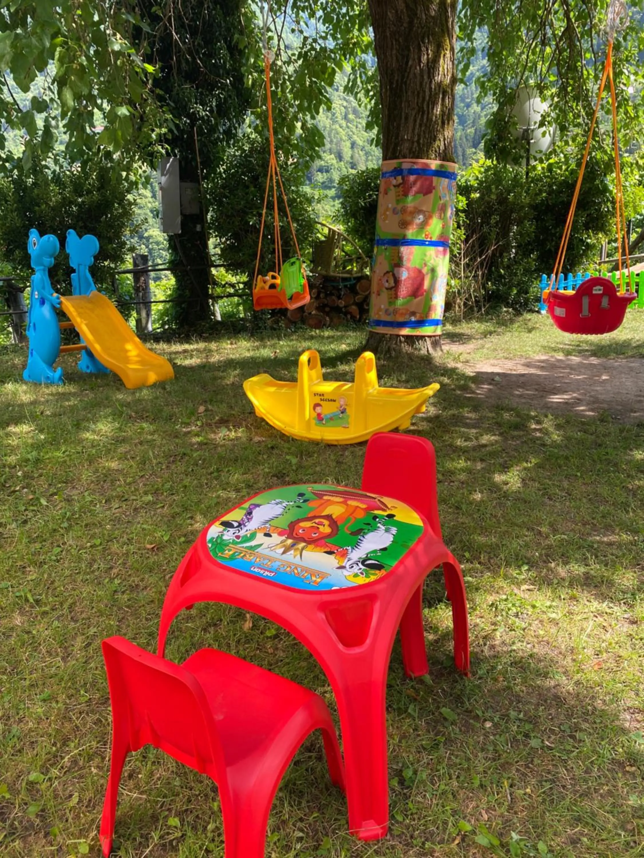 Children play ground in Hotel Chateau Iveri