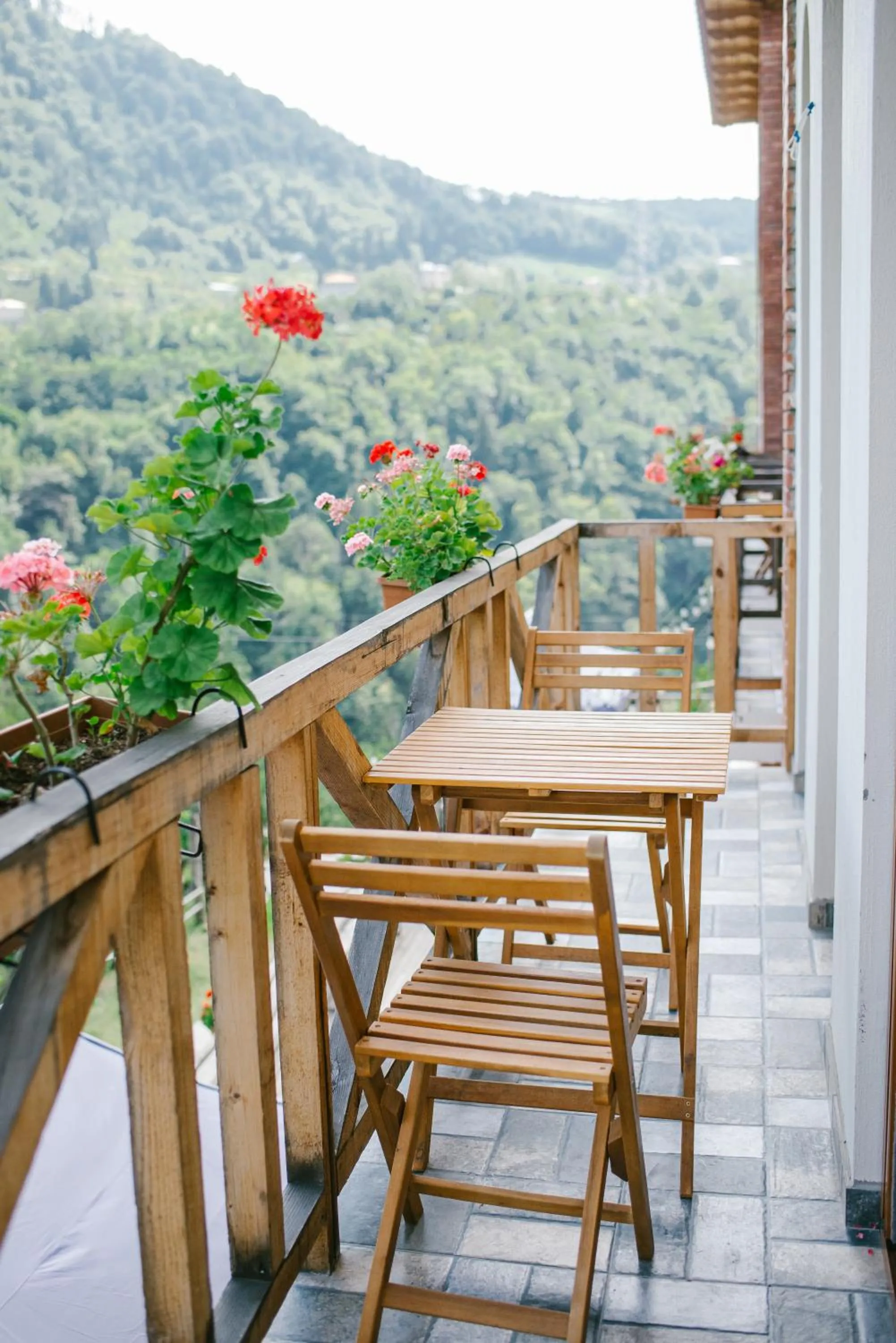Balcony/Terrace in Hotel Chateau Iveri