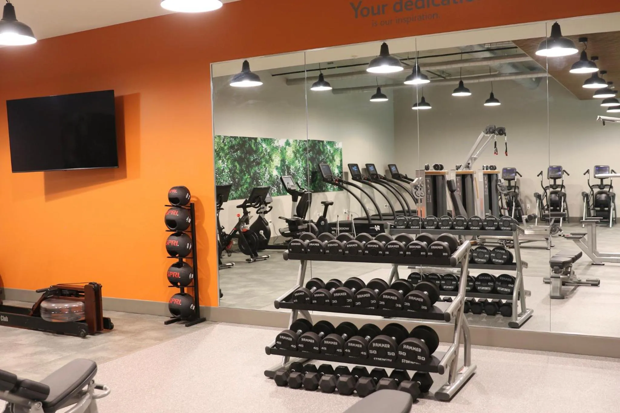 Fitness centre/facilities in Staybridge Suites Rochester - Mayo Clinic Area by IHG