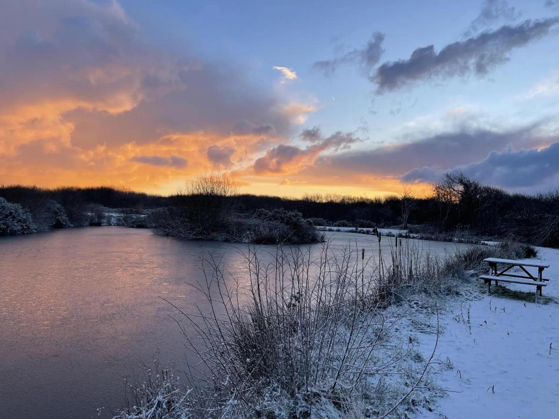 Floor plan in Lavender - Luxurious Barn Conversion - Blossom Farm