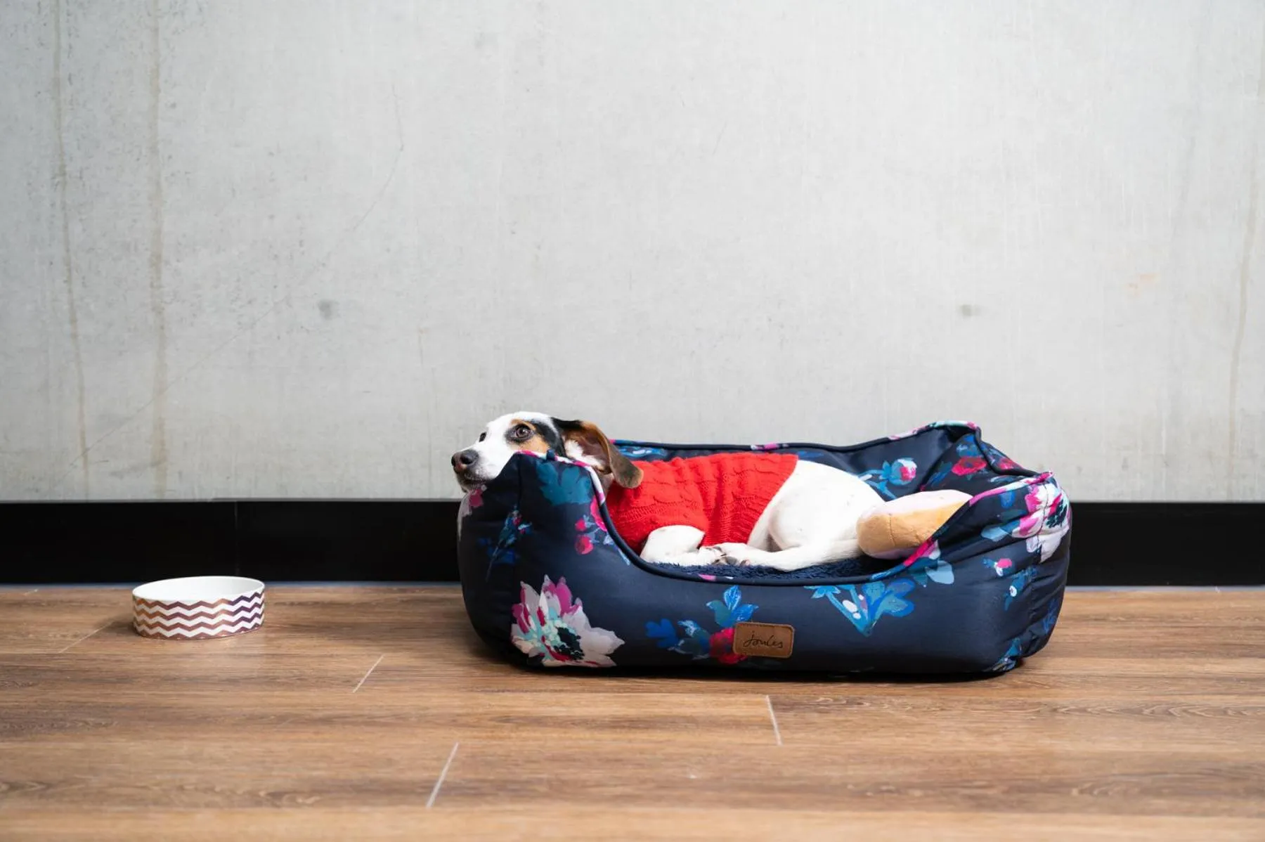 Pets in ibis Bridgwater, M5 Jct23