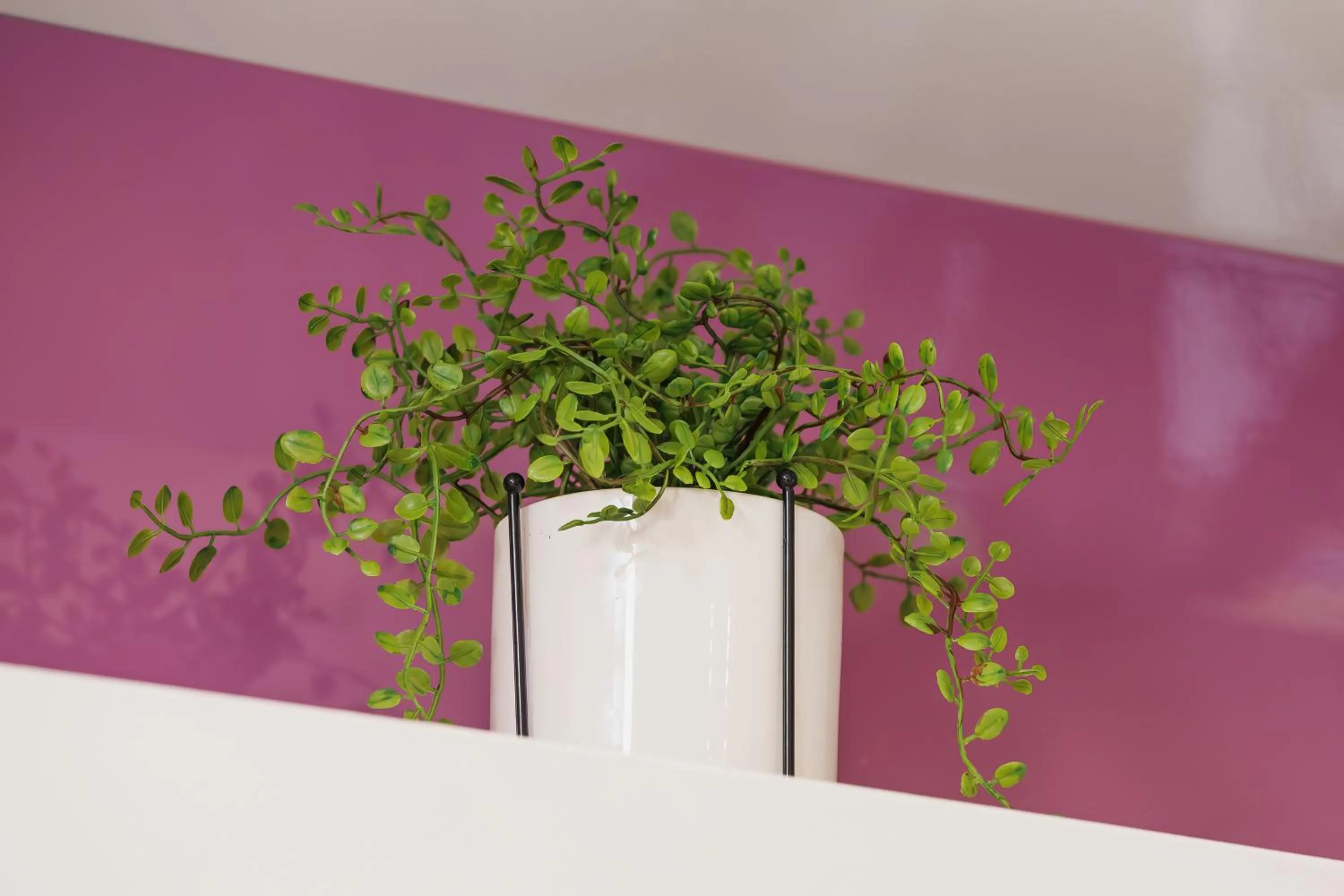 Photo of the whole room in Apartament Neapol Rezydencja Sienkiewicza by Noclegi Renters