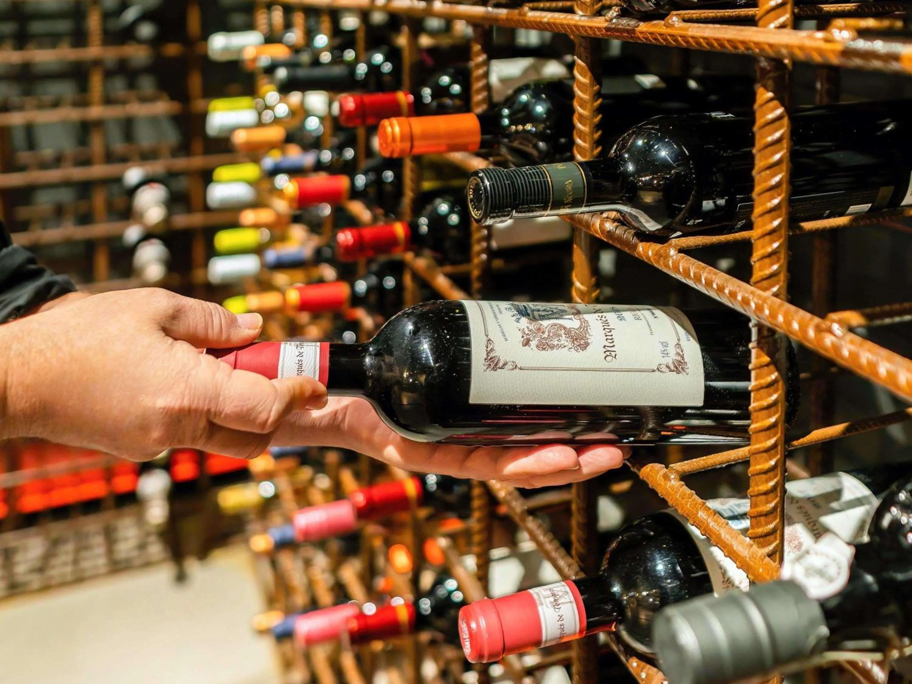 Property building in Novotel Criciuma