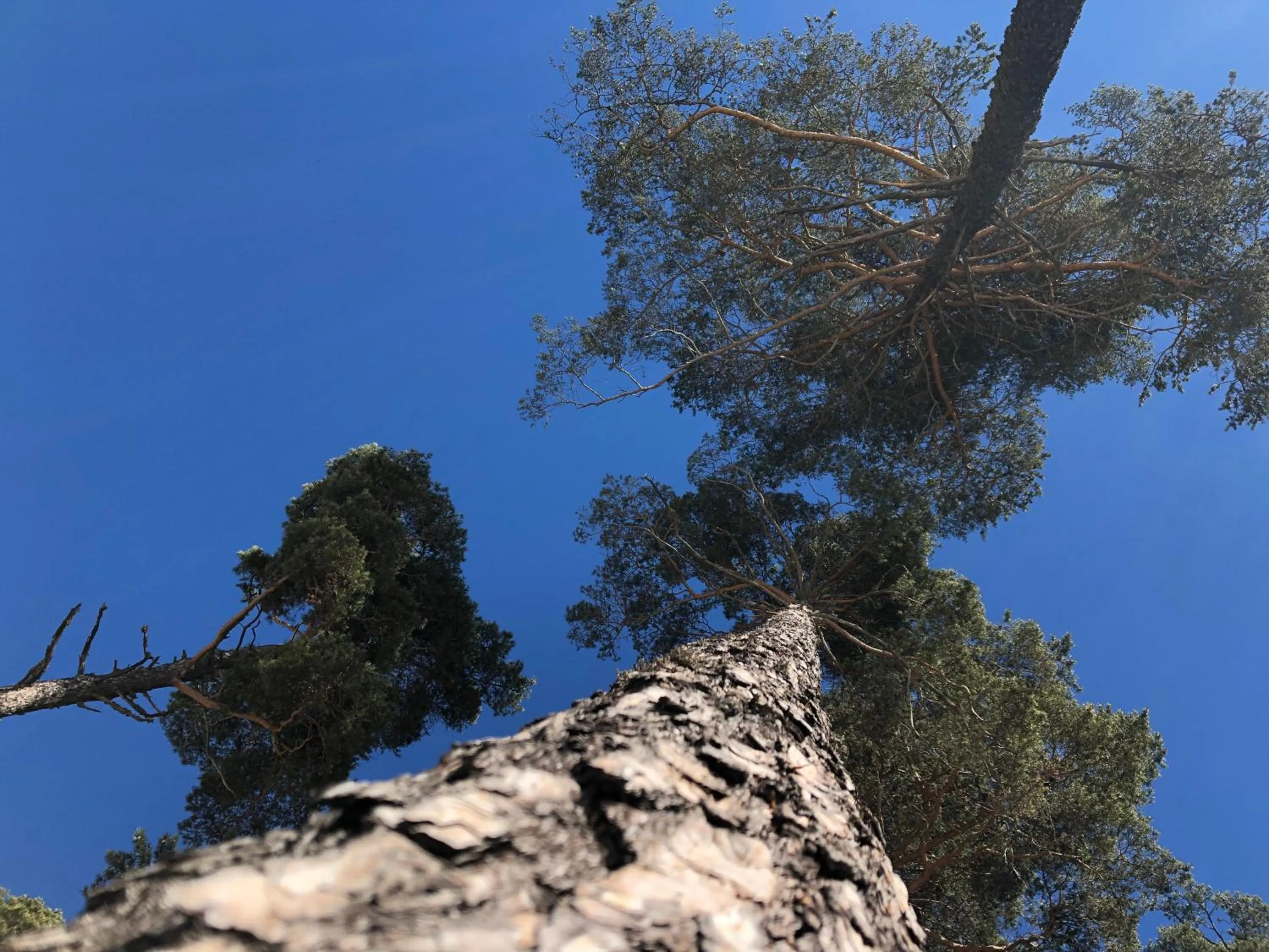 Pràcatinat Hotel & Restaurant