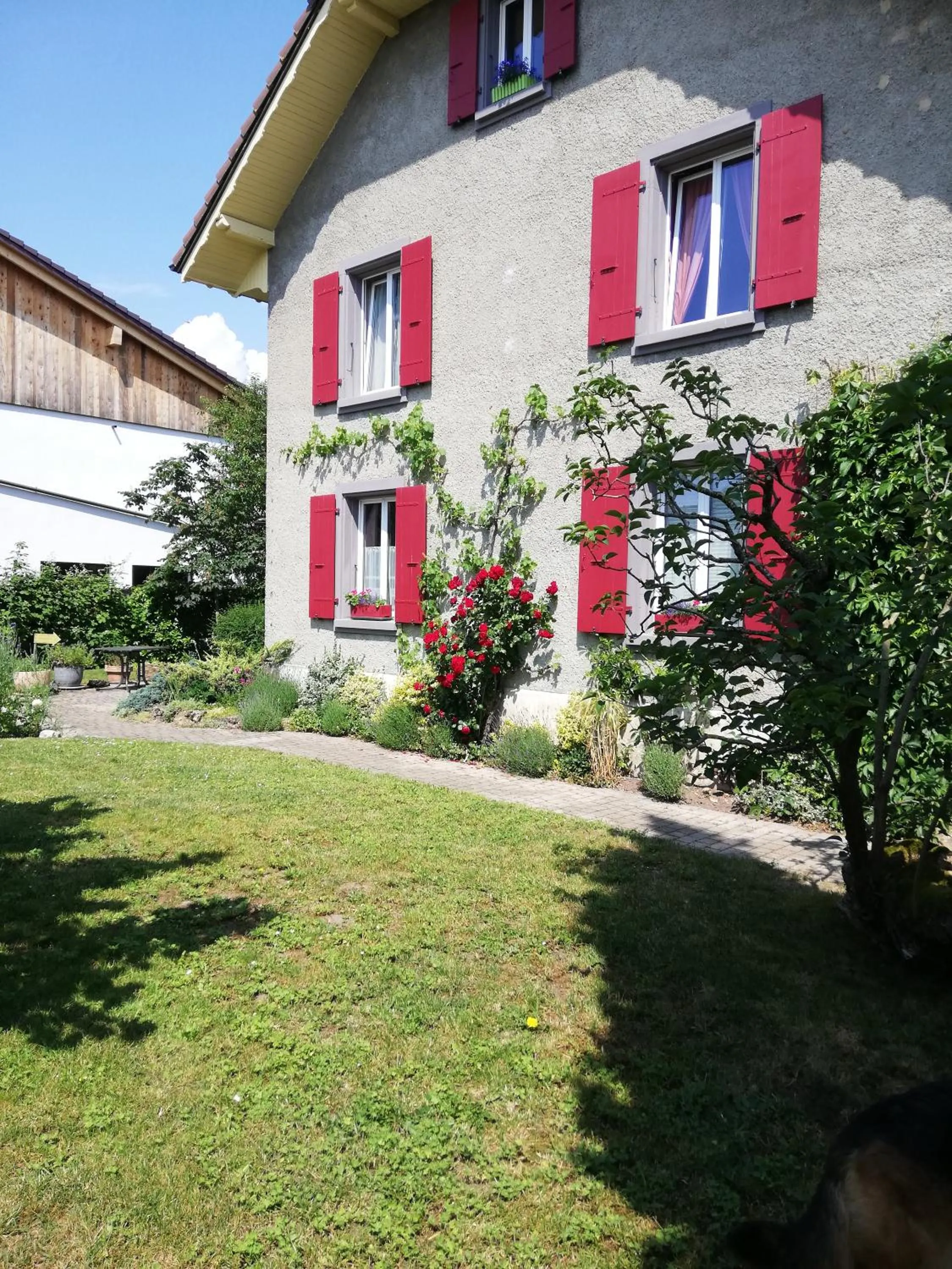 Property building in Lucky Duck