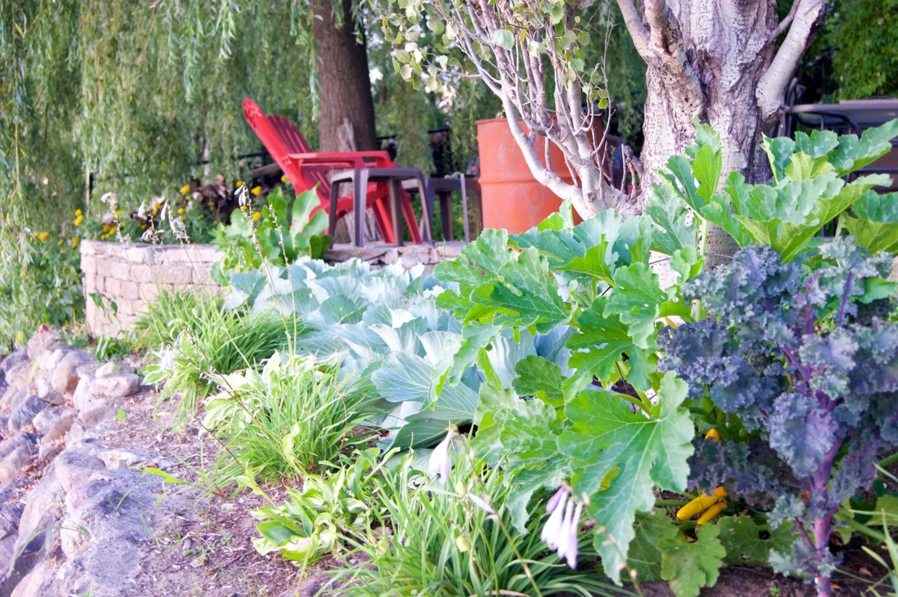 Garden view in La Belle aux Berges