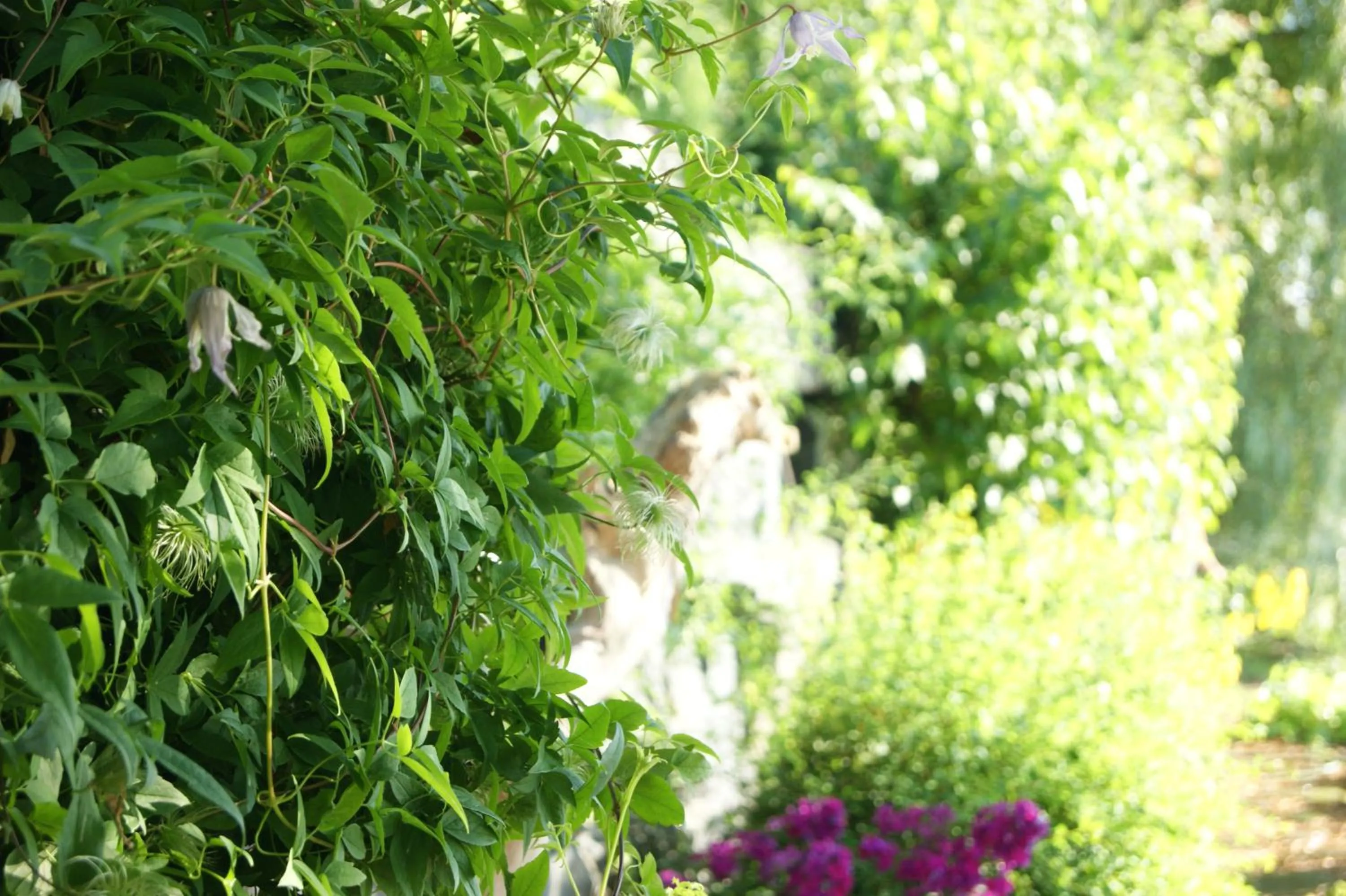 Garden in La Belle aux Berges
