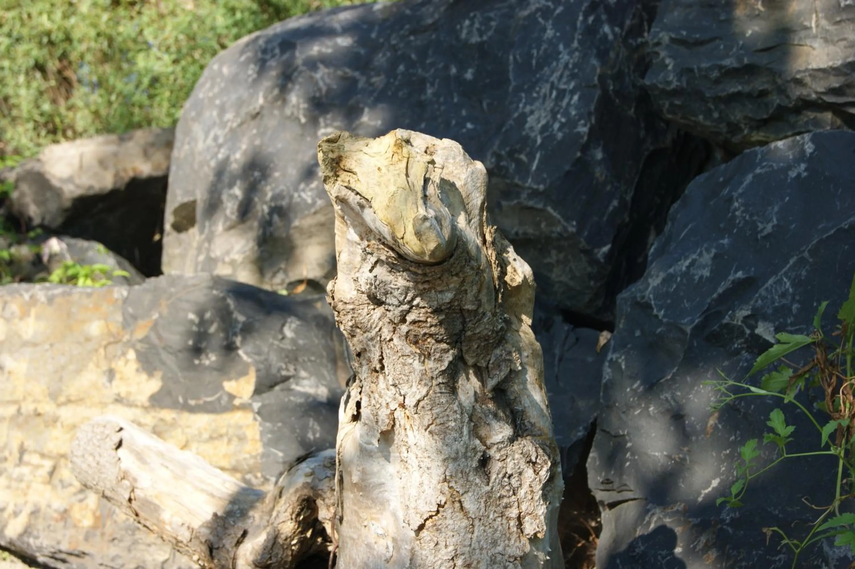Decorative detail in La Belle aux Berges