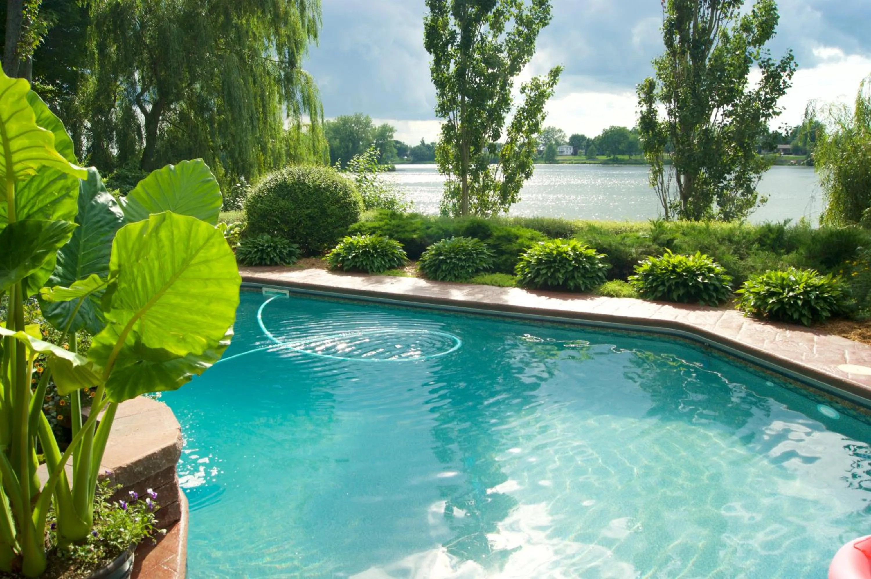 Pool view in La Belle aux Berges