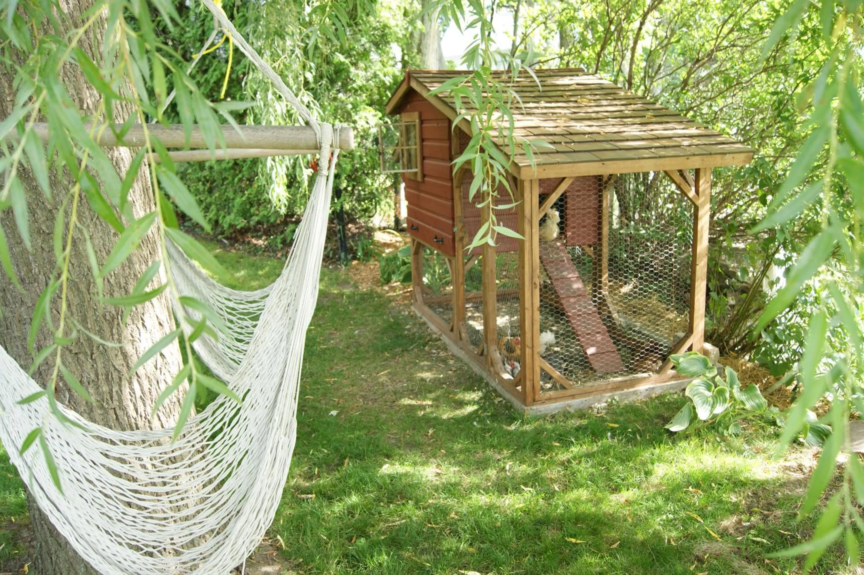 Animals in La Belle aux Berges