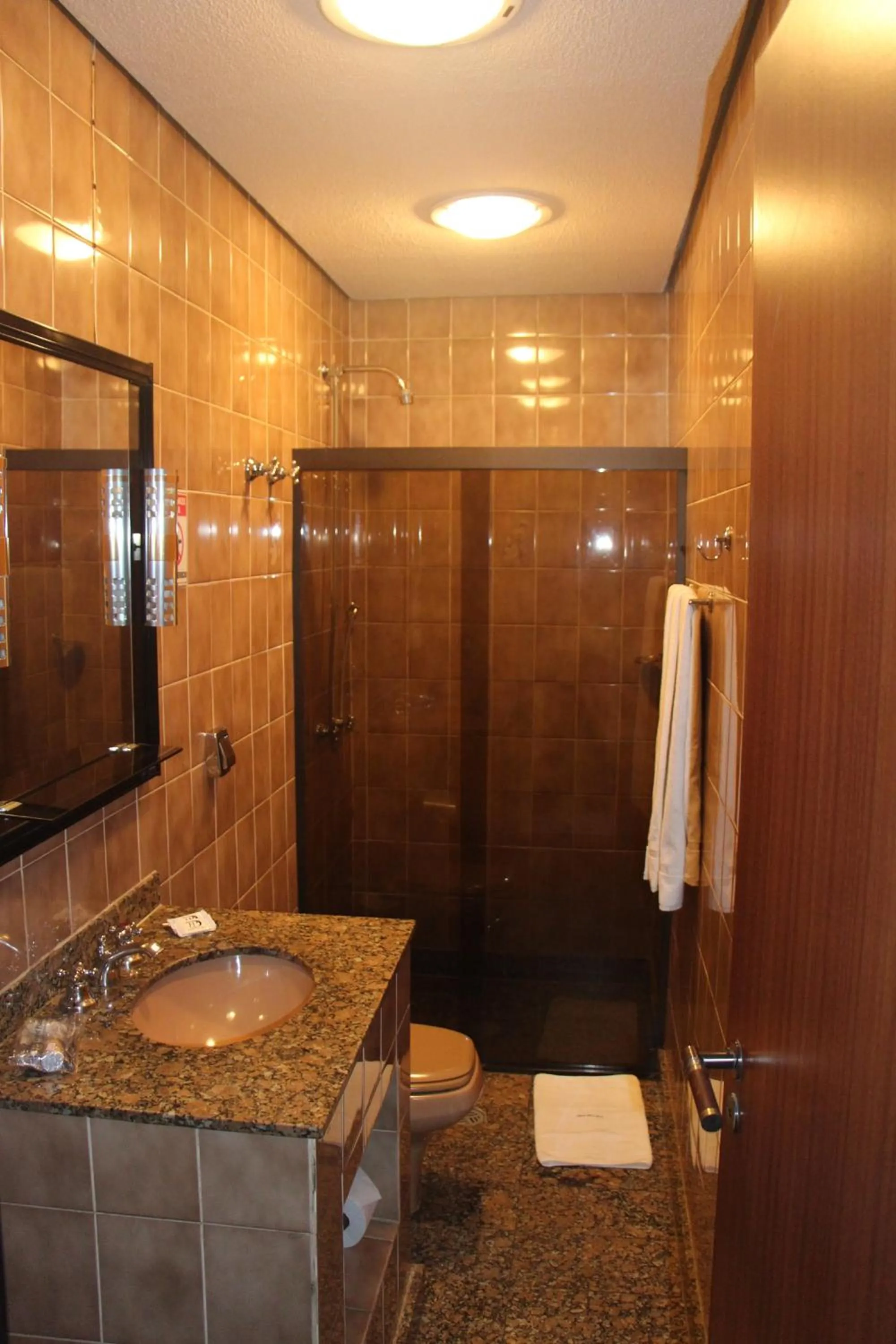 Bathroom in David Plaza Hotel