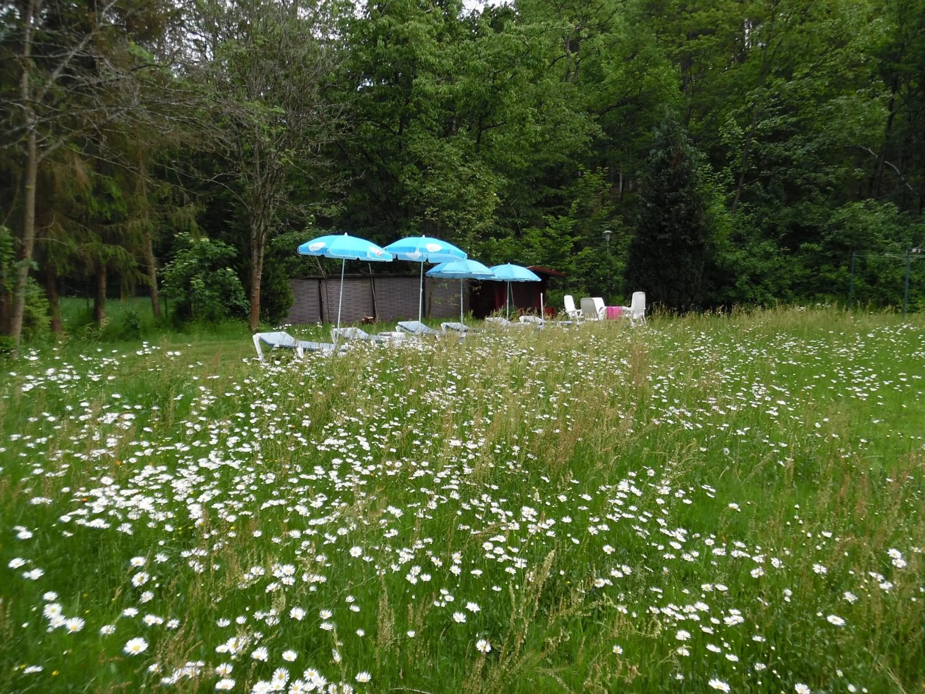 Garden view in Wellness und Romantik Hotel Helmboldt