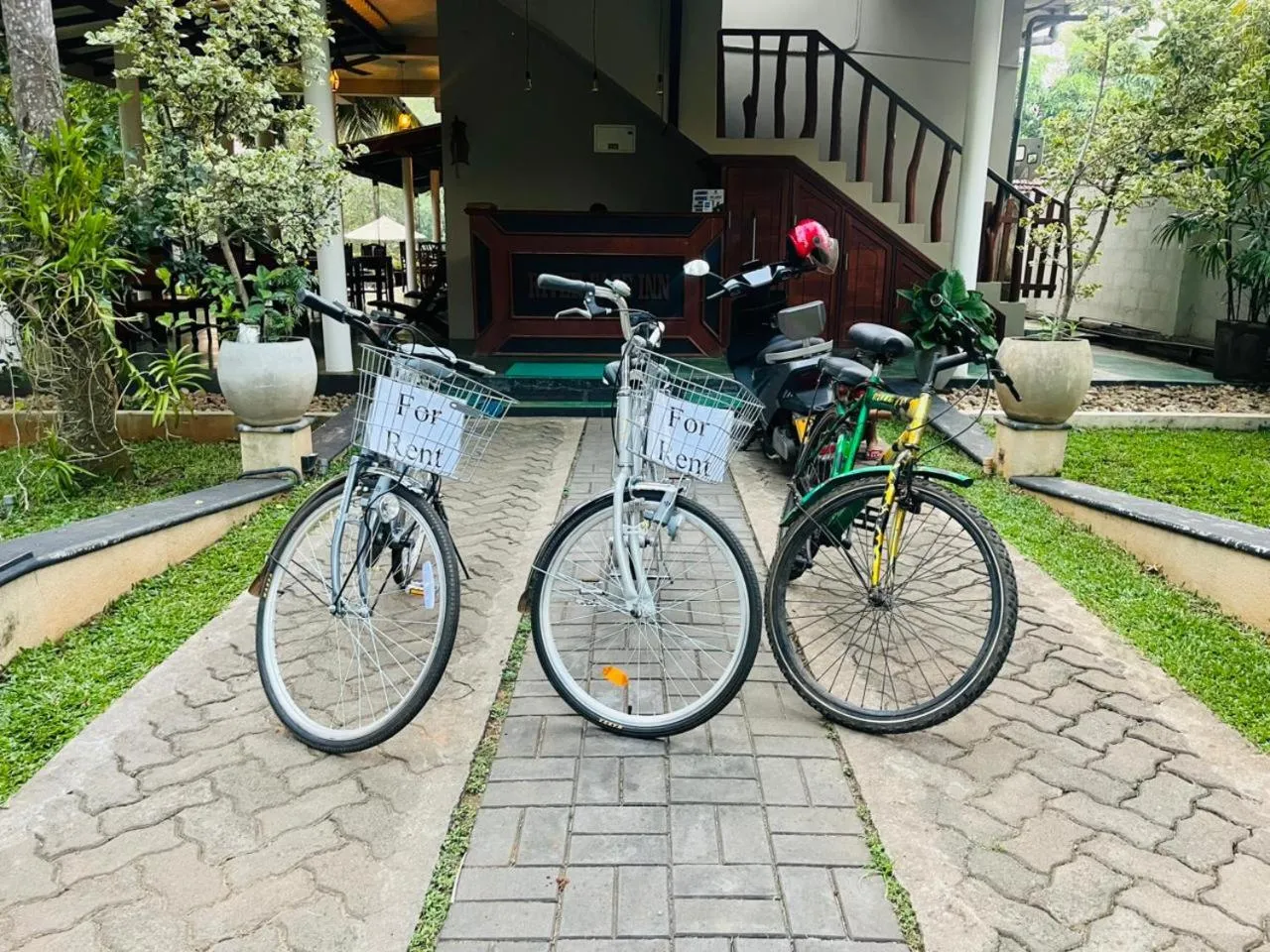 Property building in Yala River Face Inn