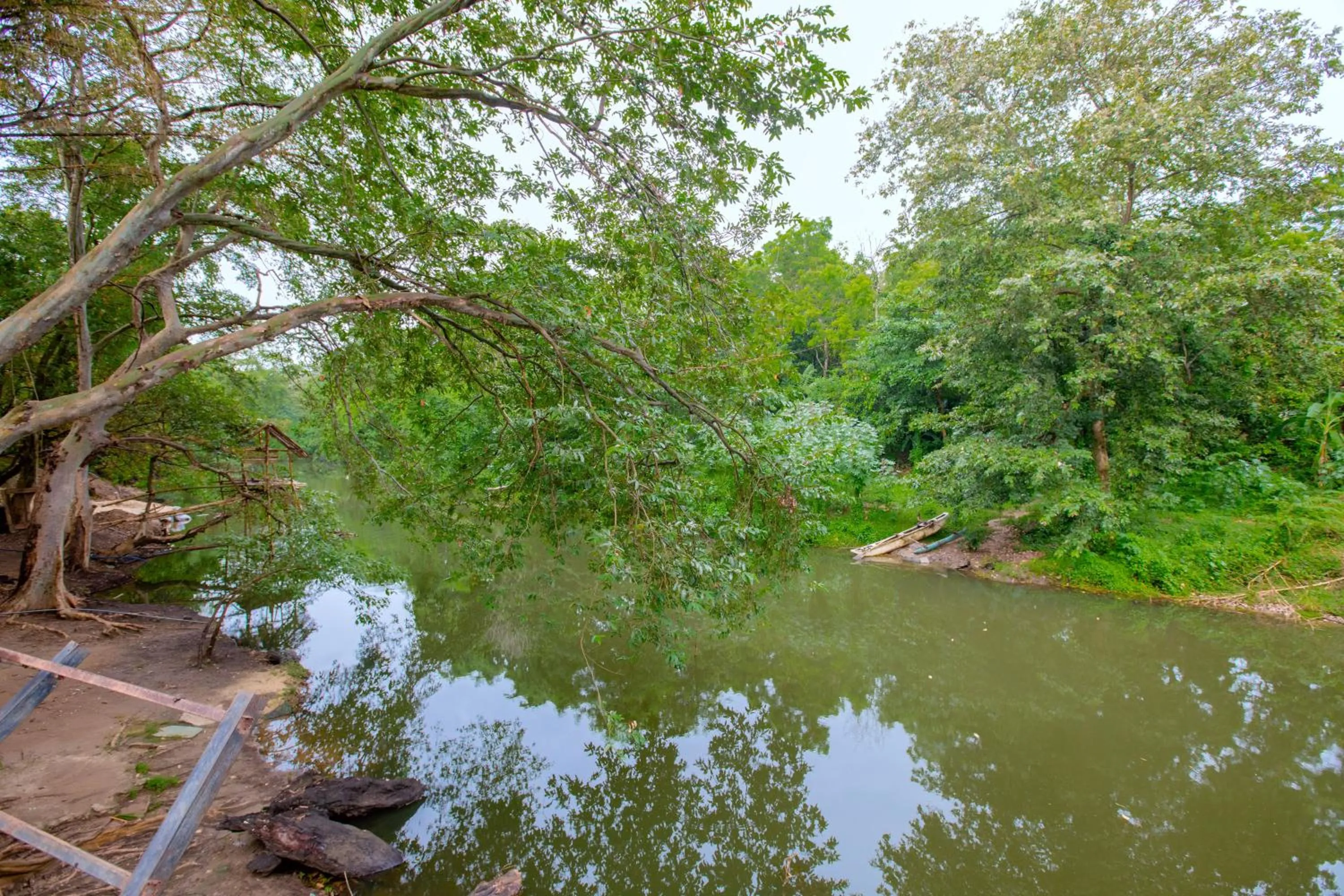 River view in Yala River Face Inn