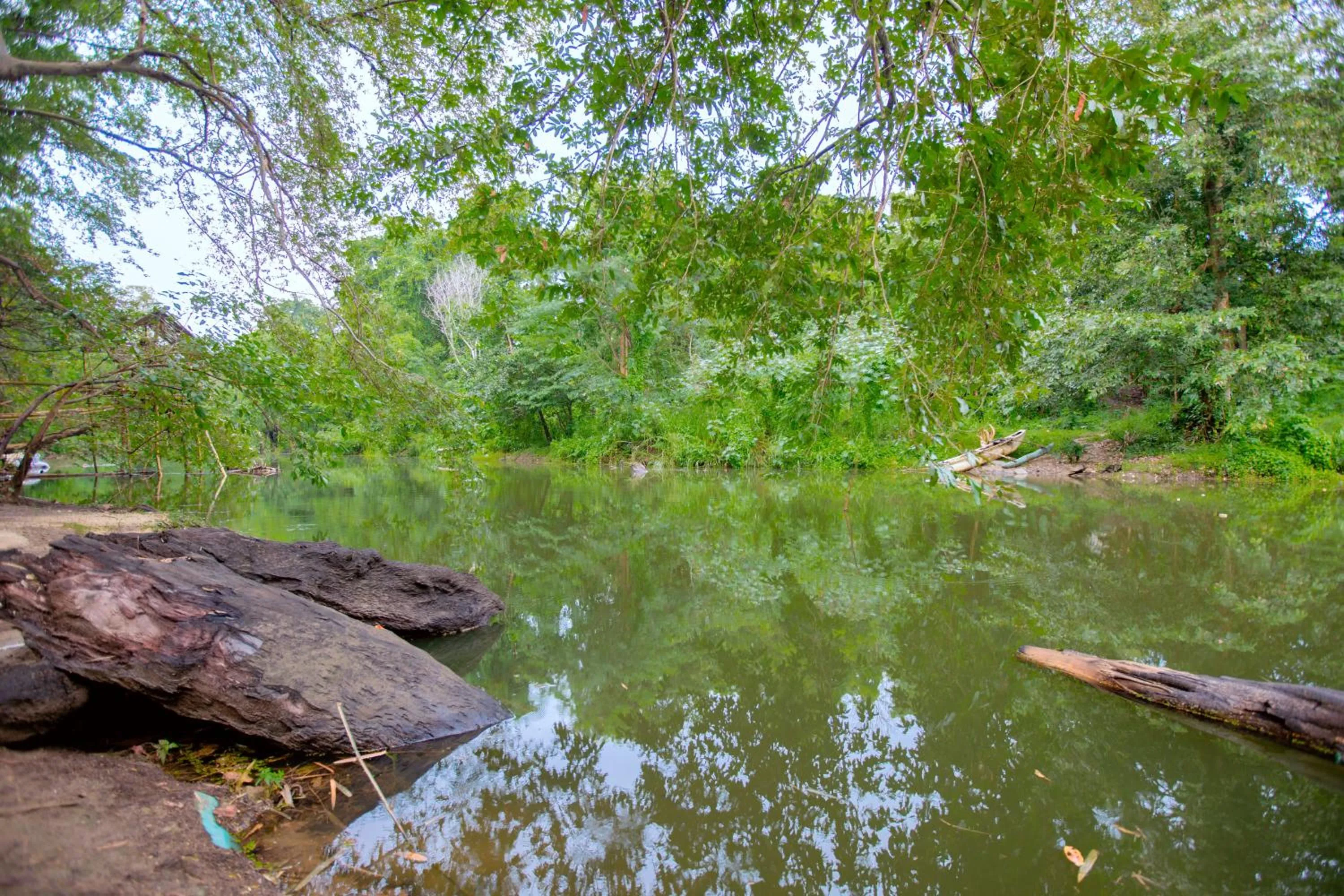 River view in Yala River Face Inn