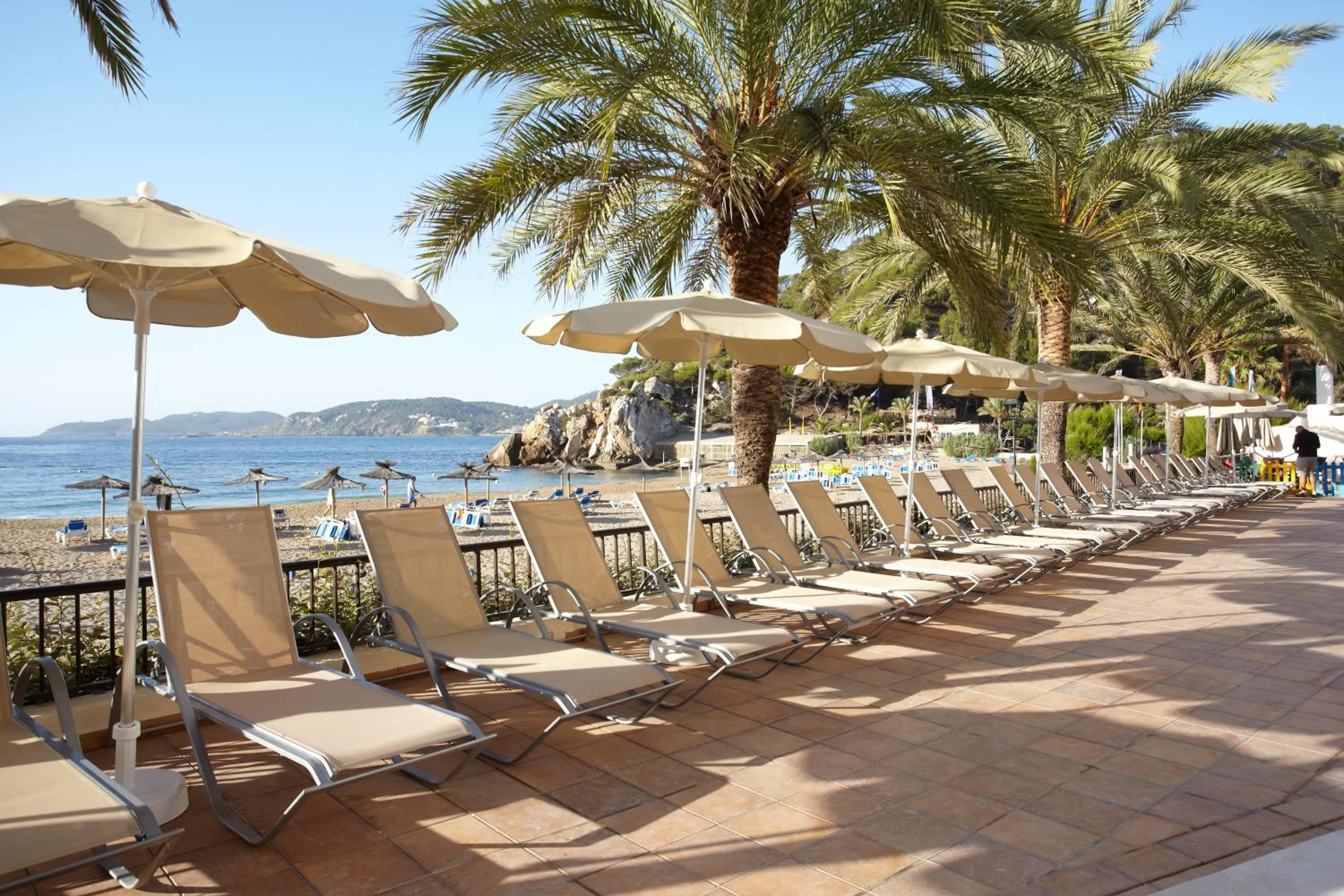 Natural landscape in Grupotel Imperio Playa