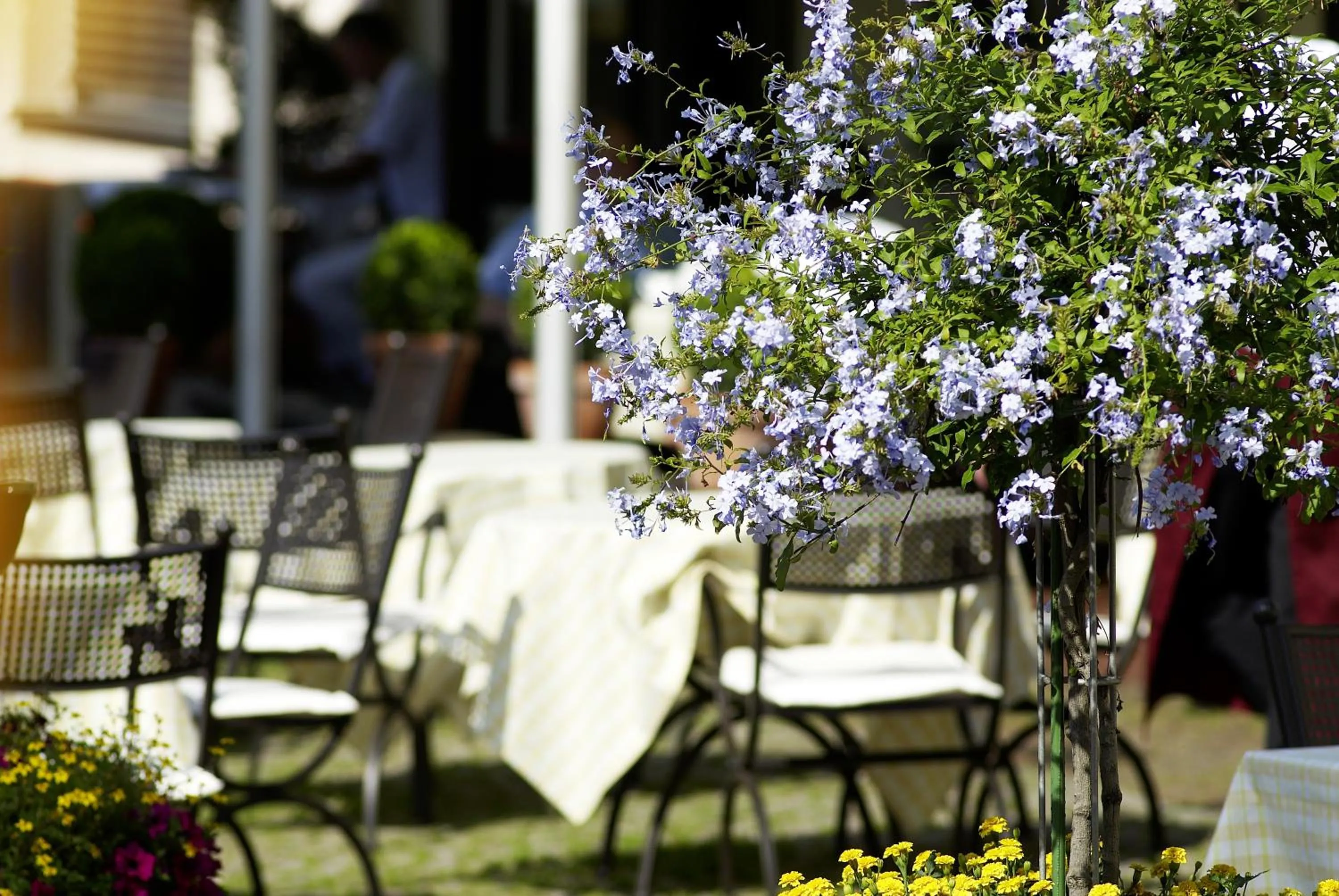 Balcony/Terrace in Hotel & Restaurant Sonne
