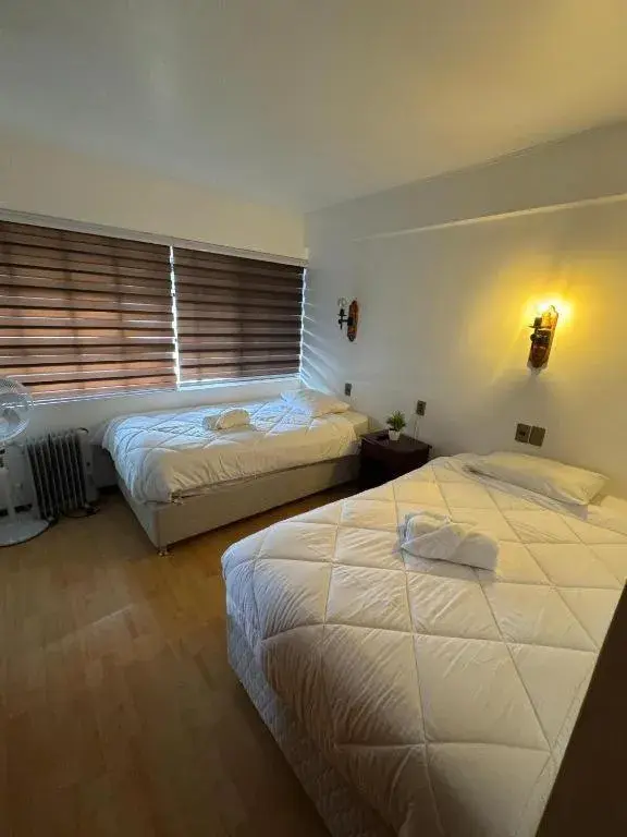 Double Room in Hotel Boutique WenuPillan Double Room in Hotel Boutique WenuPillan