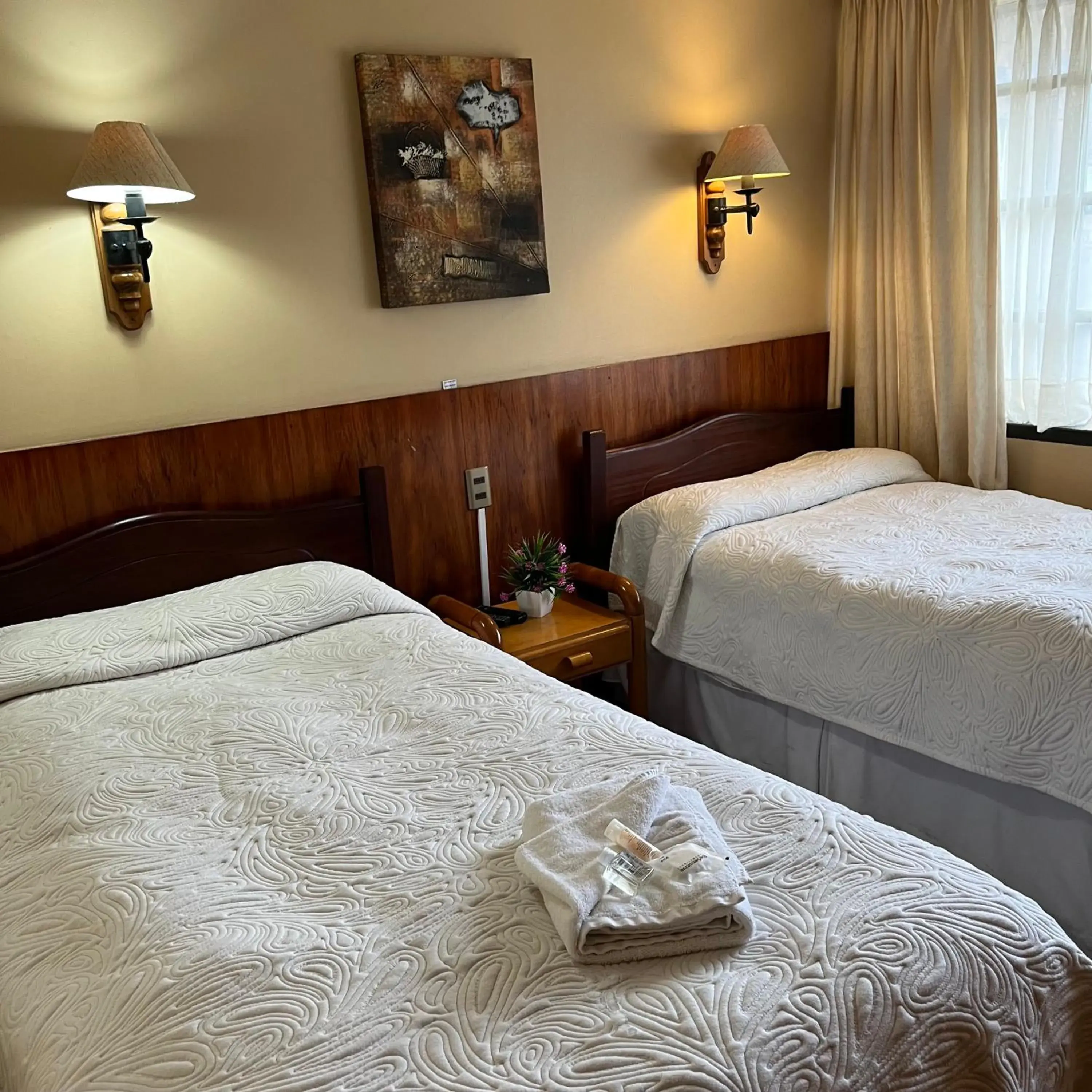 Double Room in Hotel Boutique WenuPillan Double Room in Hotel Boutique WenuPillan