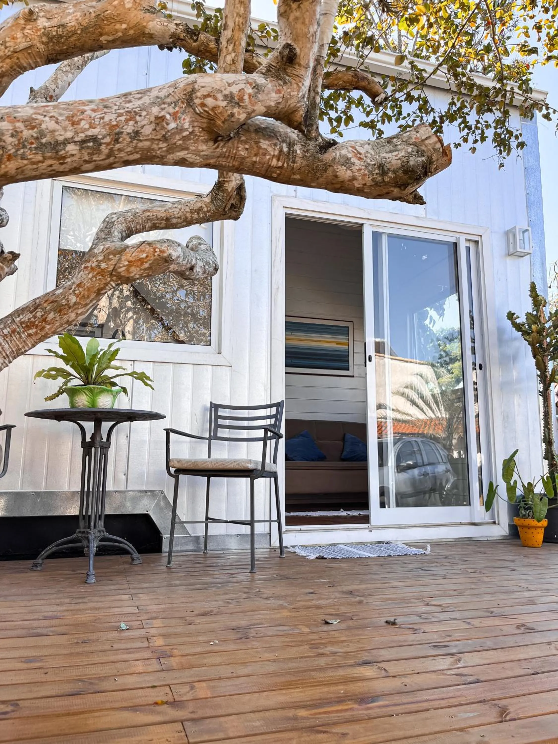 Peixe Crew Manguinhos