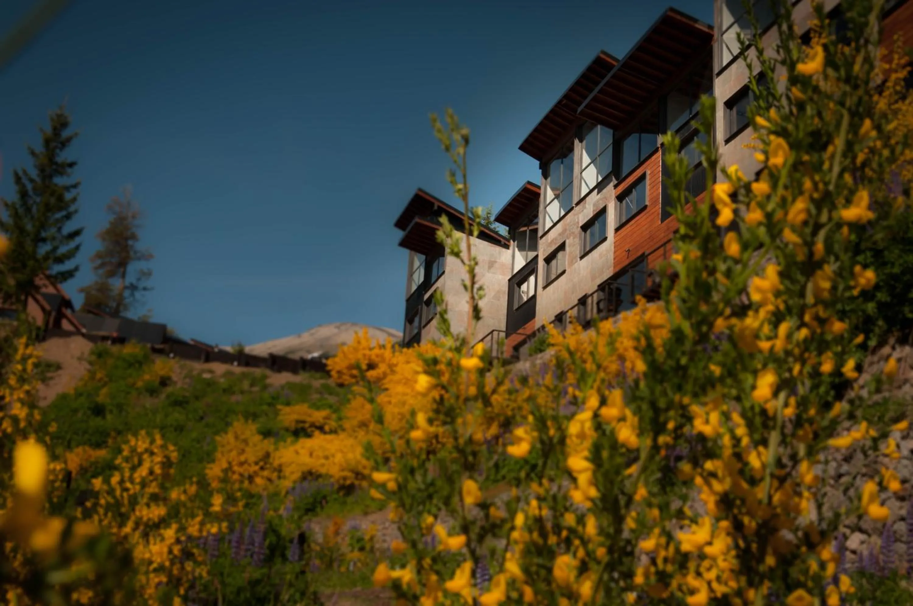 Property building in Las Aguas Río Bonito