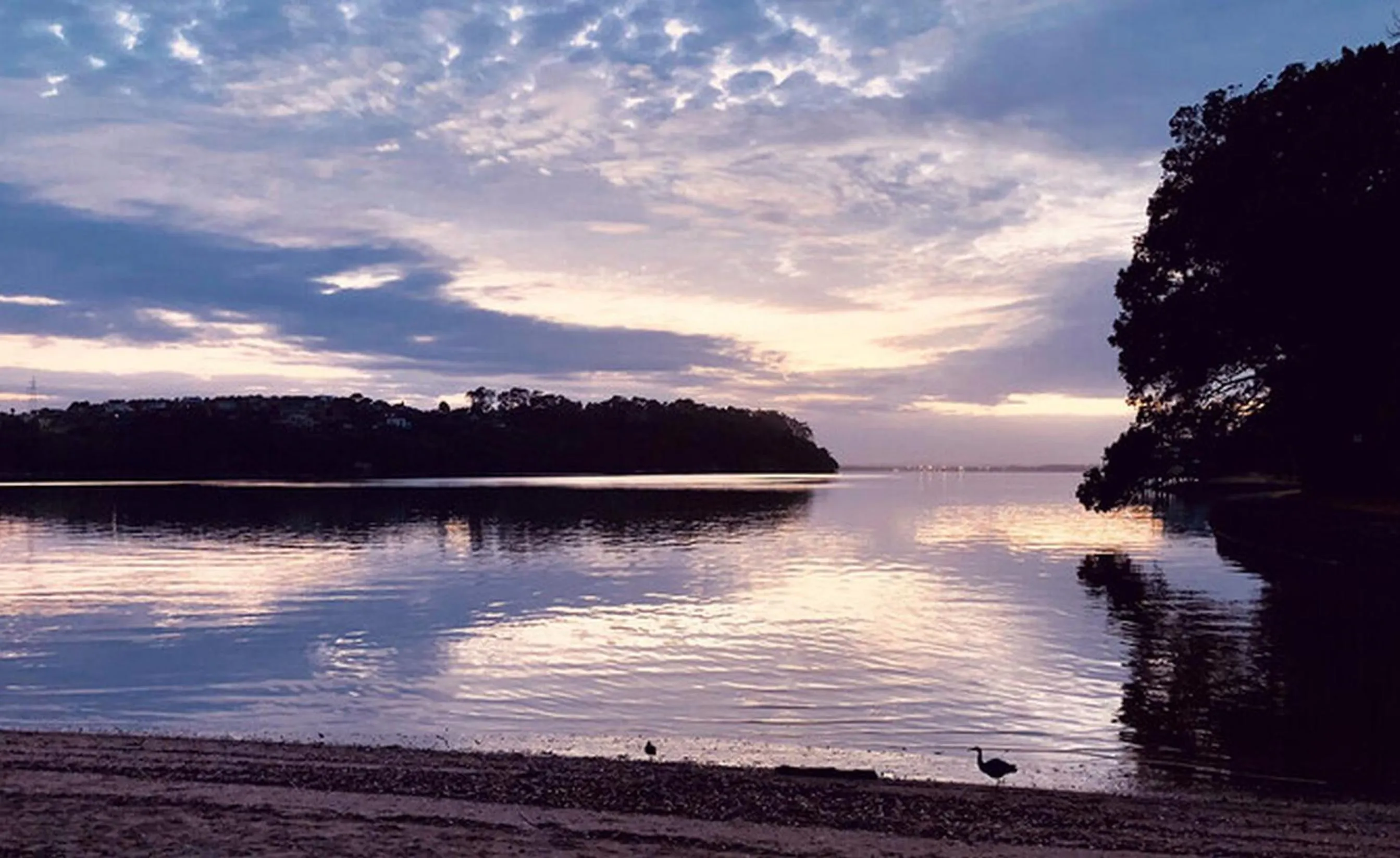 Beach in Dovecote House