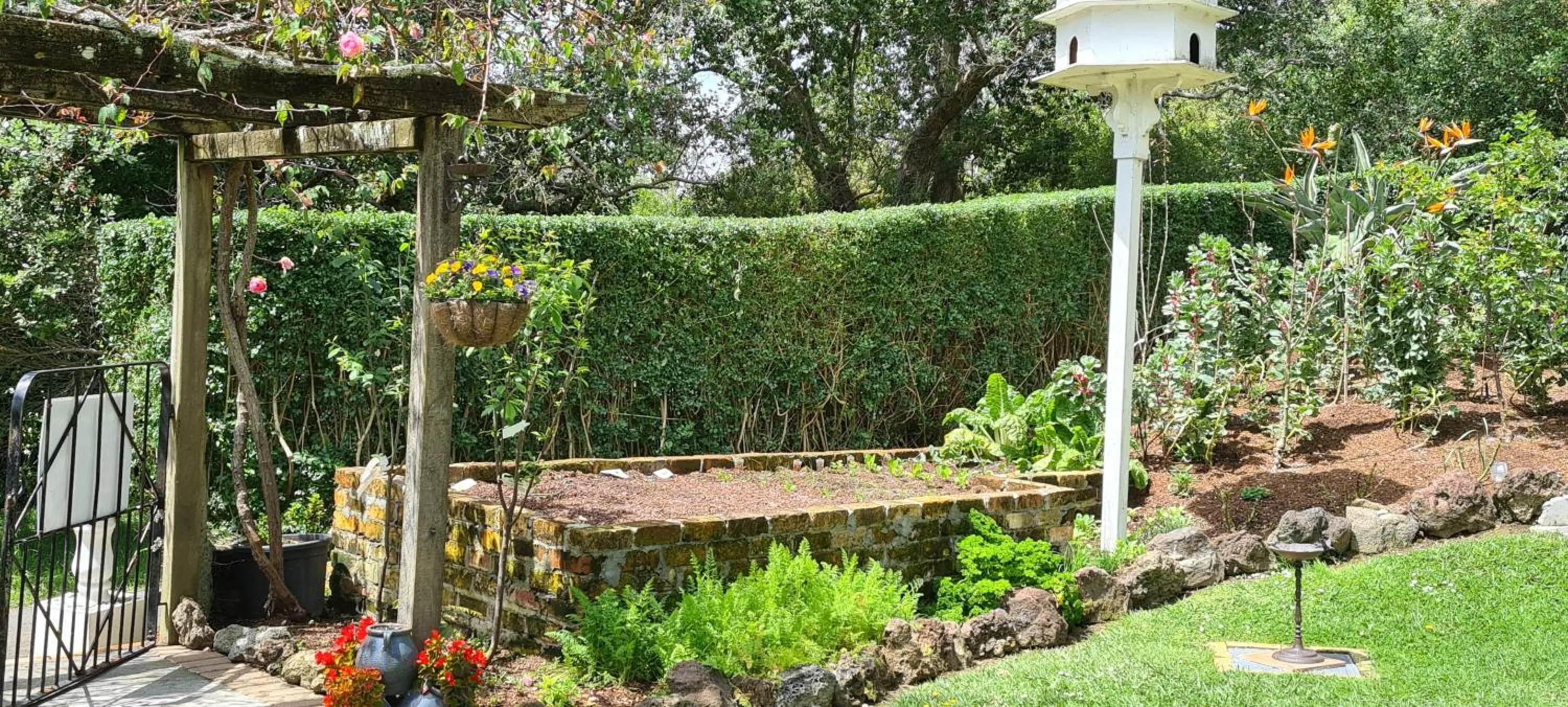 Garden in Dovecote House