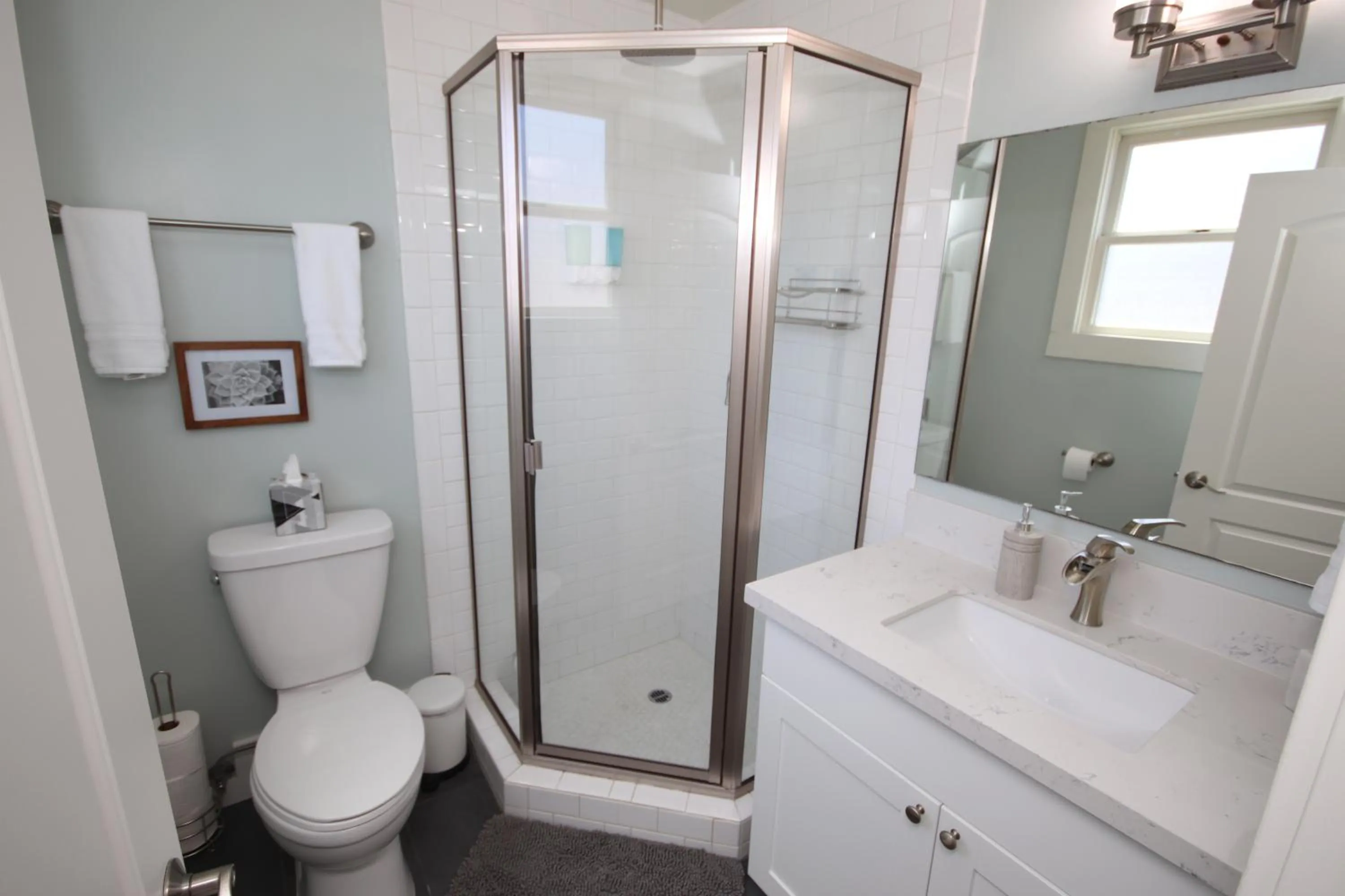 Shower in Fern House South Park Craftsman