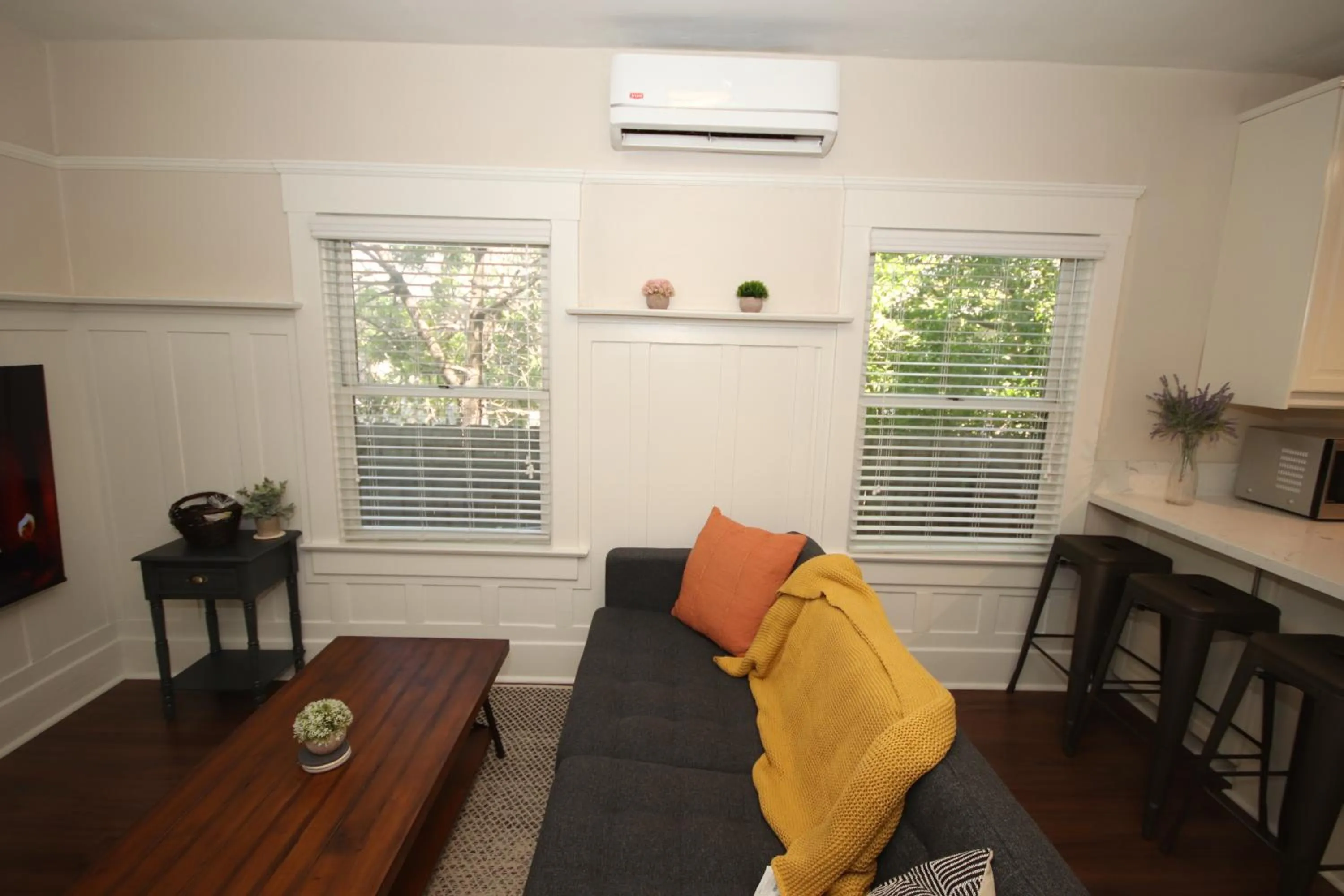 TV and multimedia in Fern House South Park Craftsman