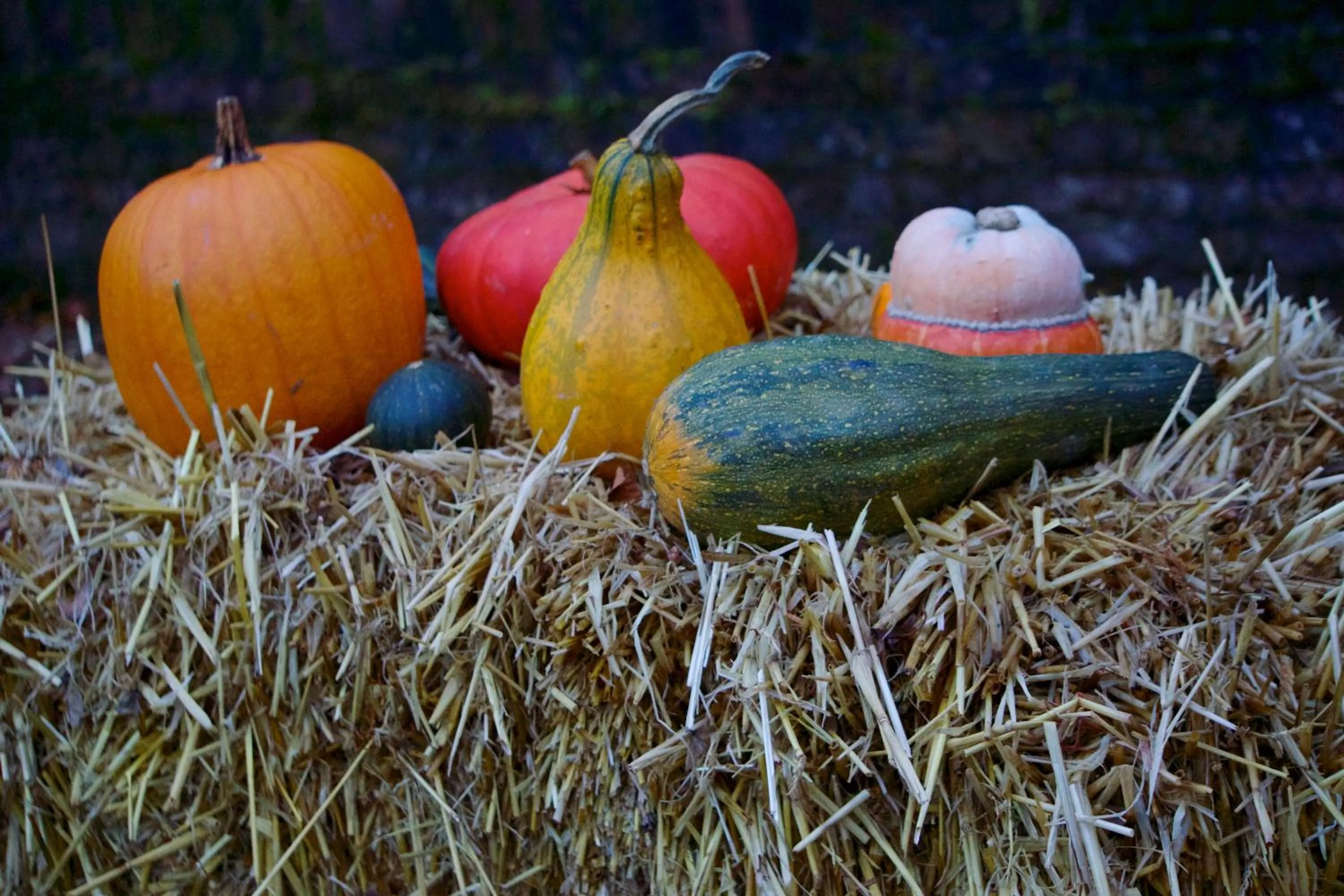 Autumn in Hotel Haus Kronenthal