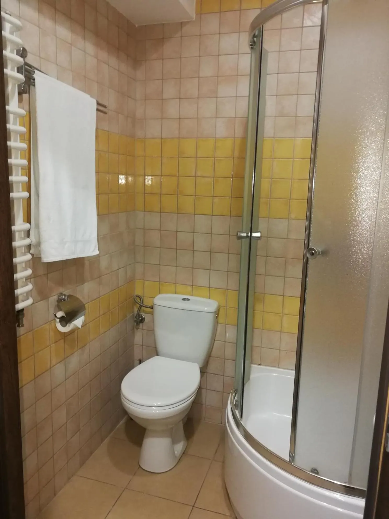 Toilet in Hotel Prymus