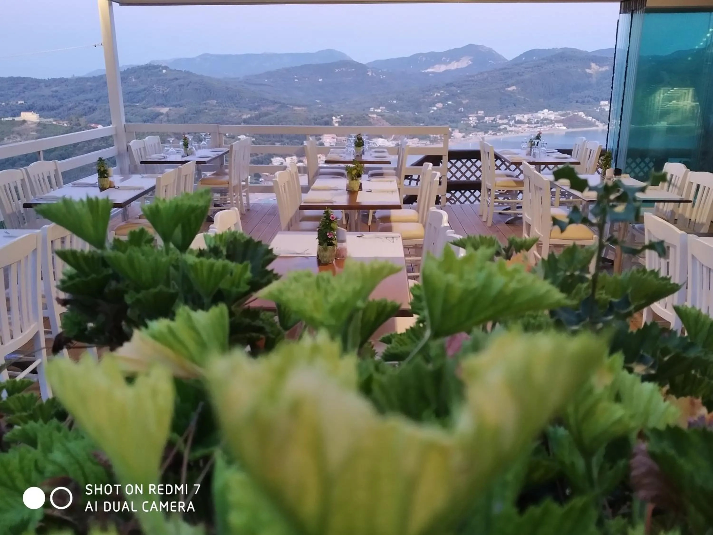 Restaurant/places to eat in Zeus Throne Suites