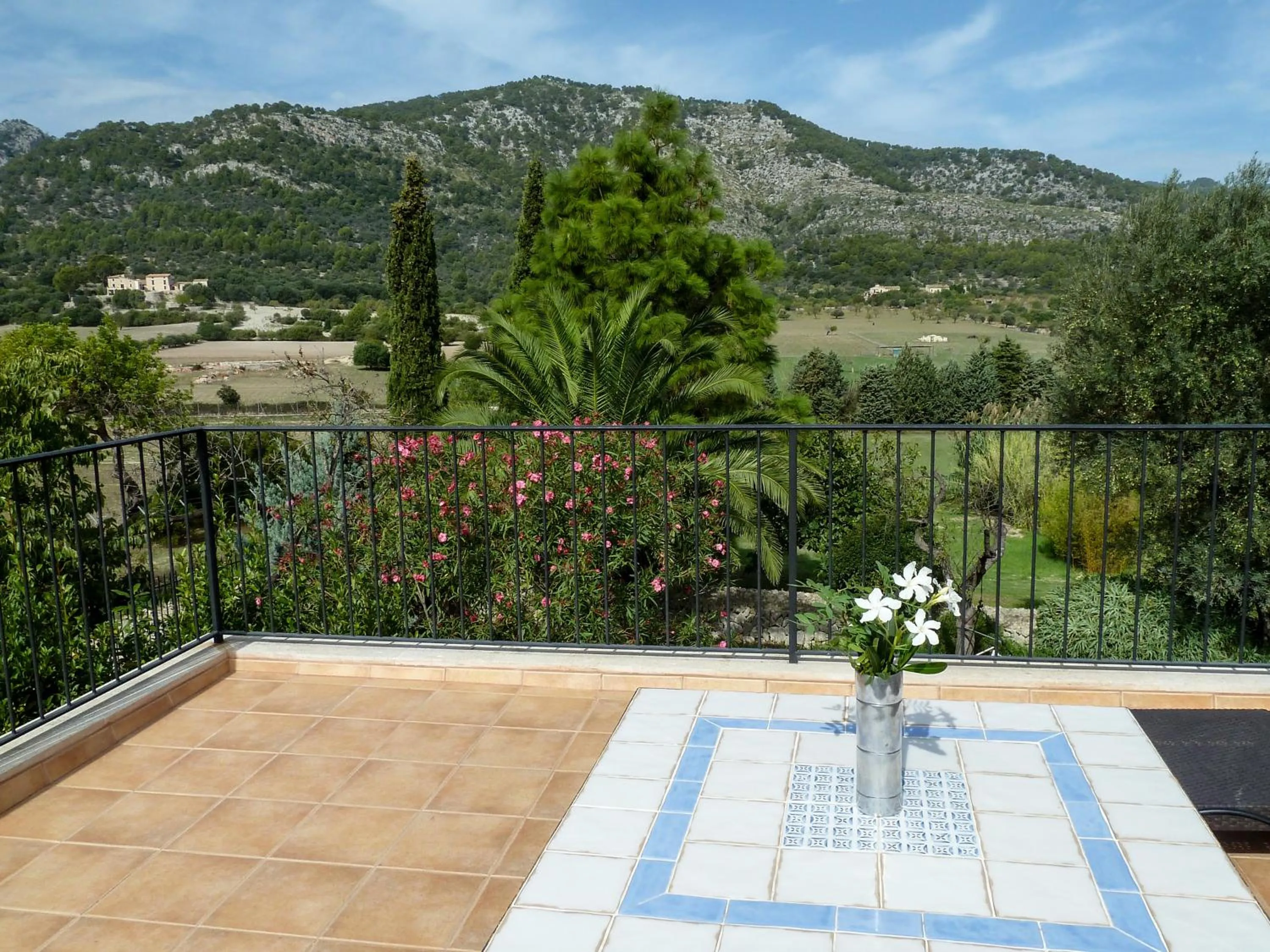 Day in Finca Son Ametler