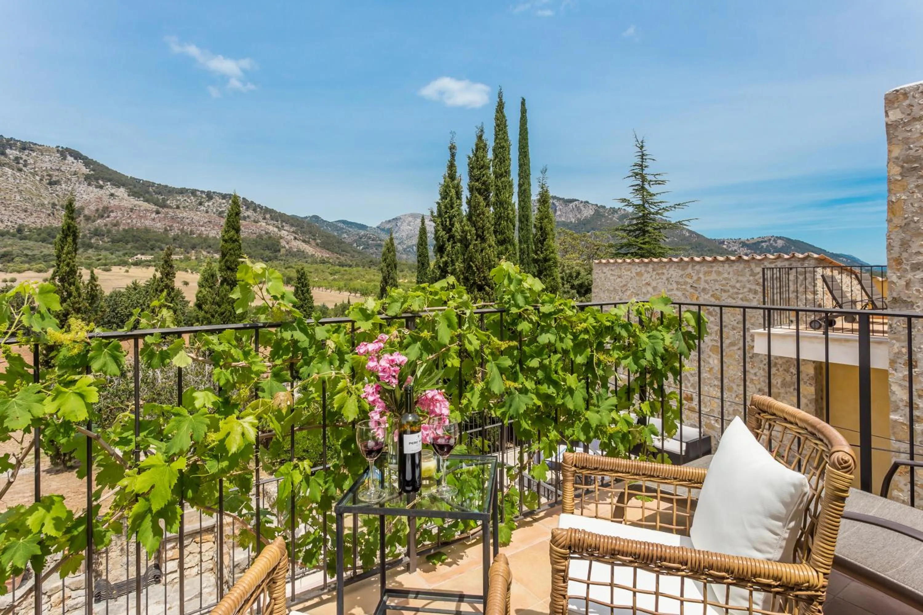 Mountain view in Finca Son Ametler