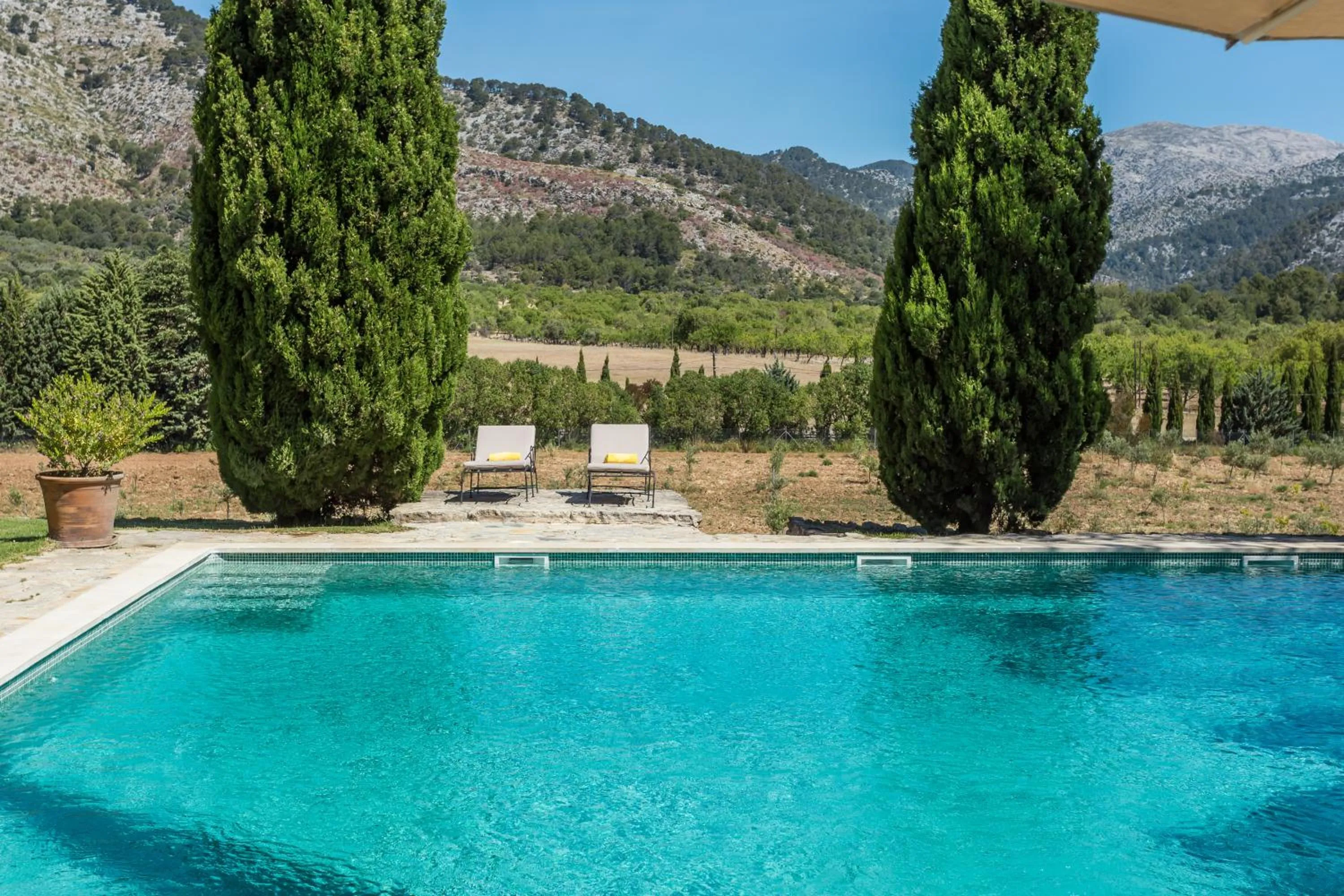 Swimming pool in Finca Son Ametler