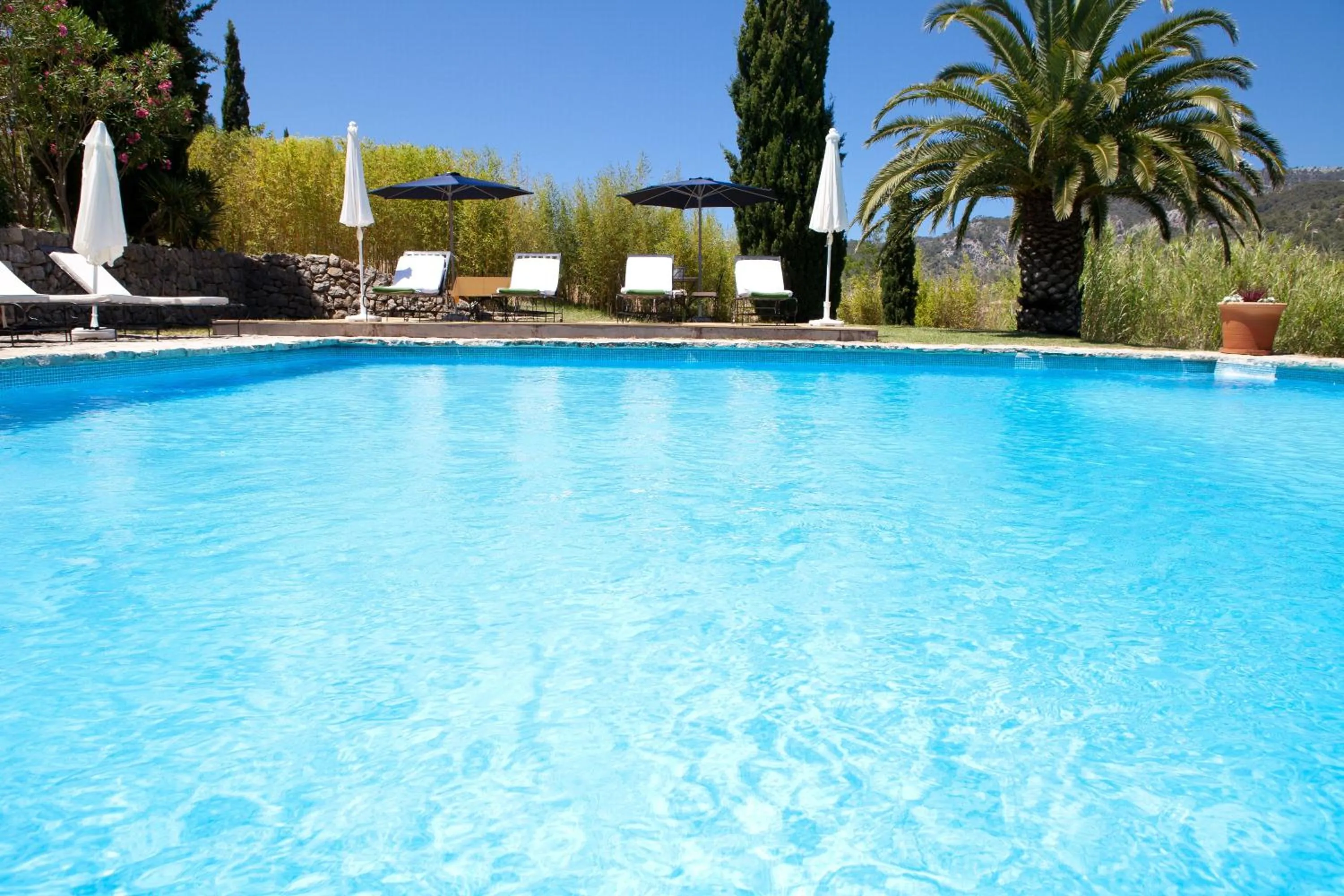 Day in Finca Son Ametler