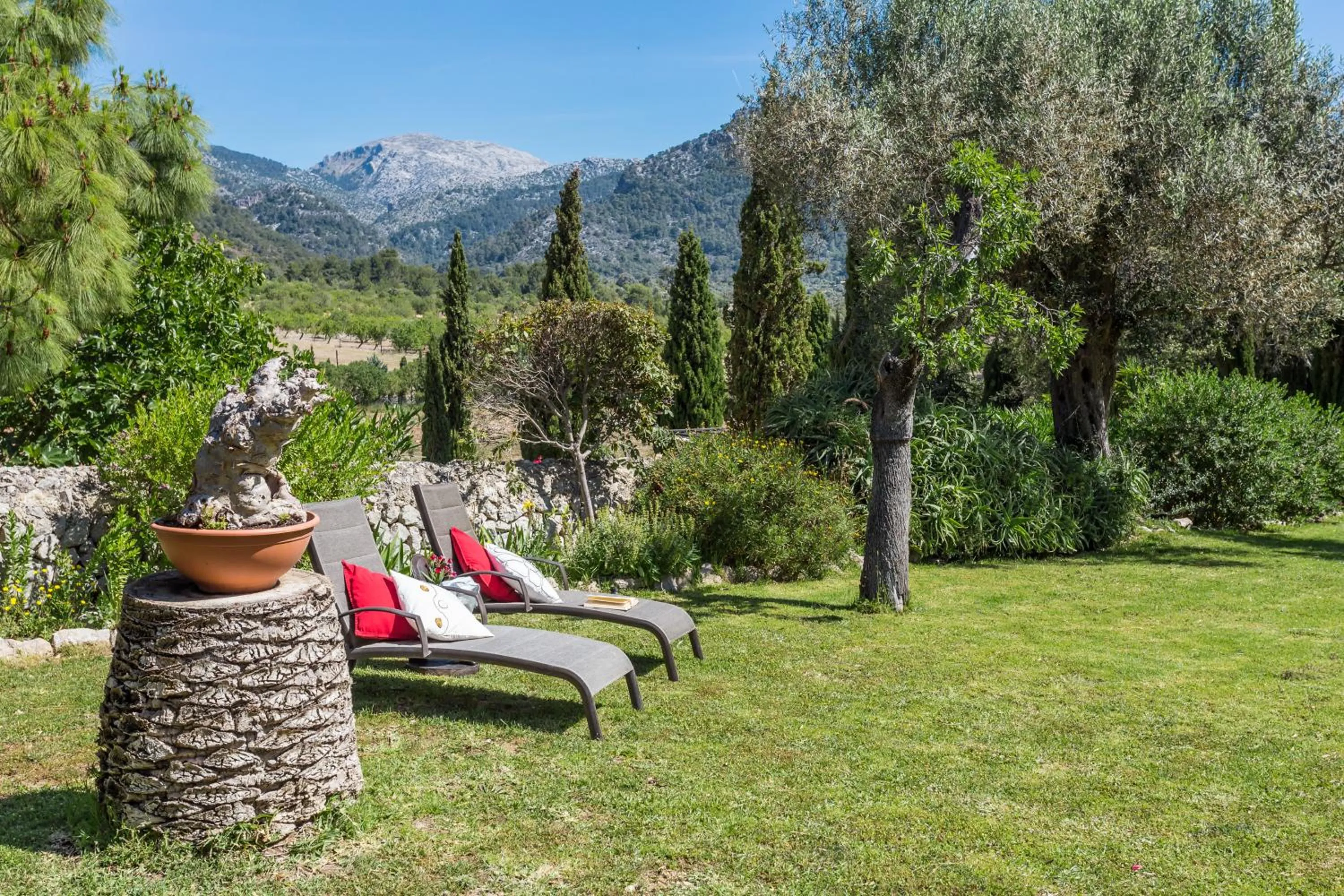 Garden in Finca Son Ametler