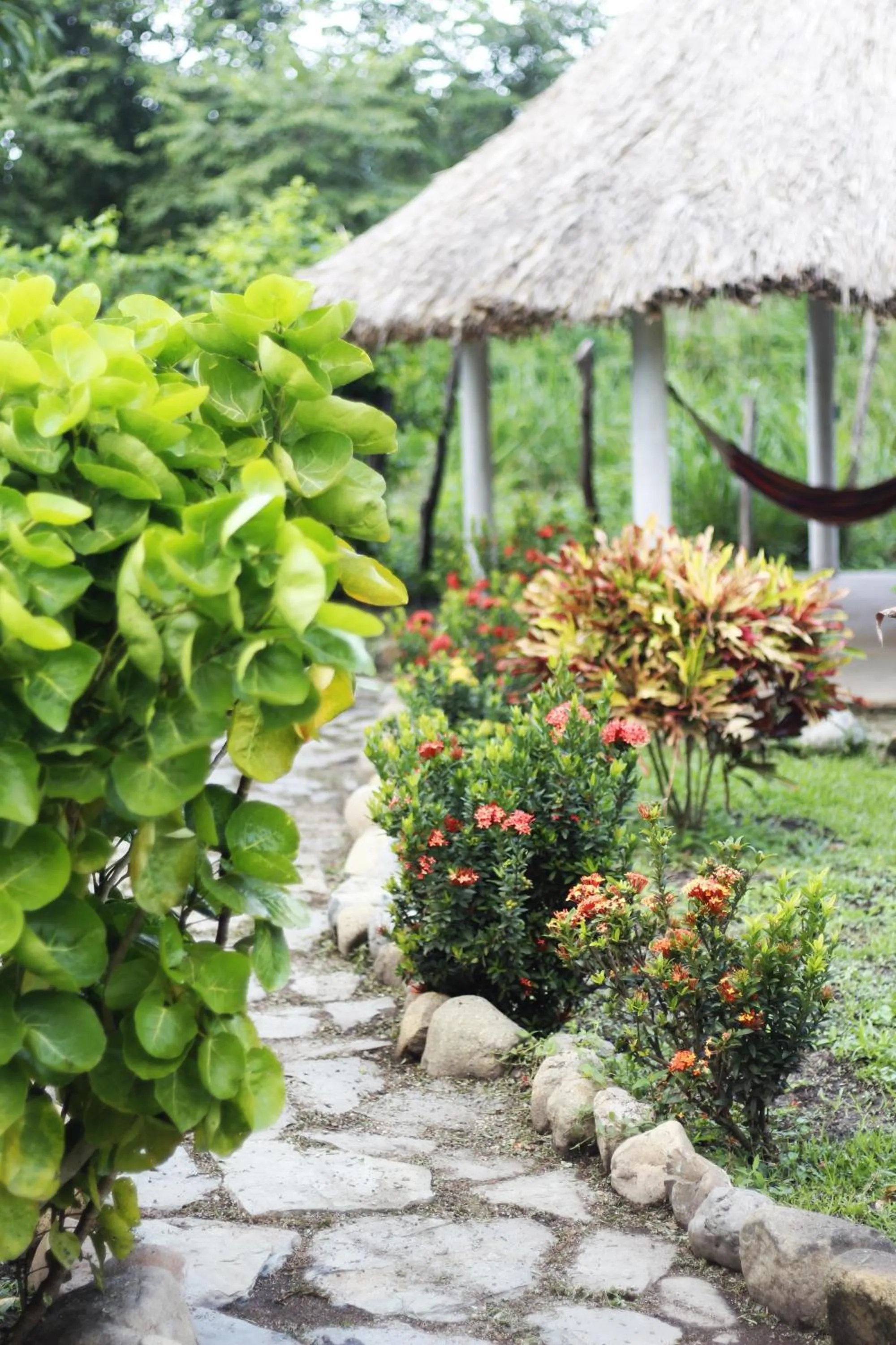 Garden in Praba Hostel
