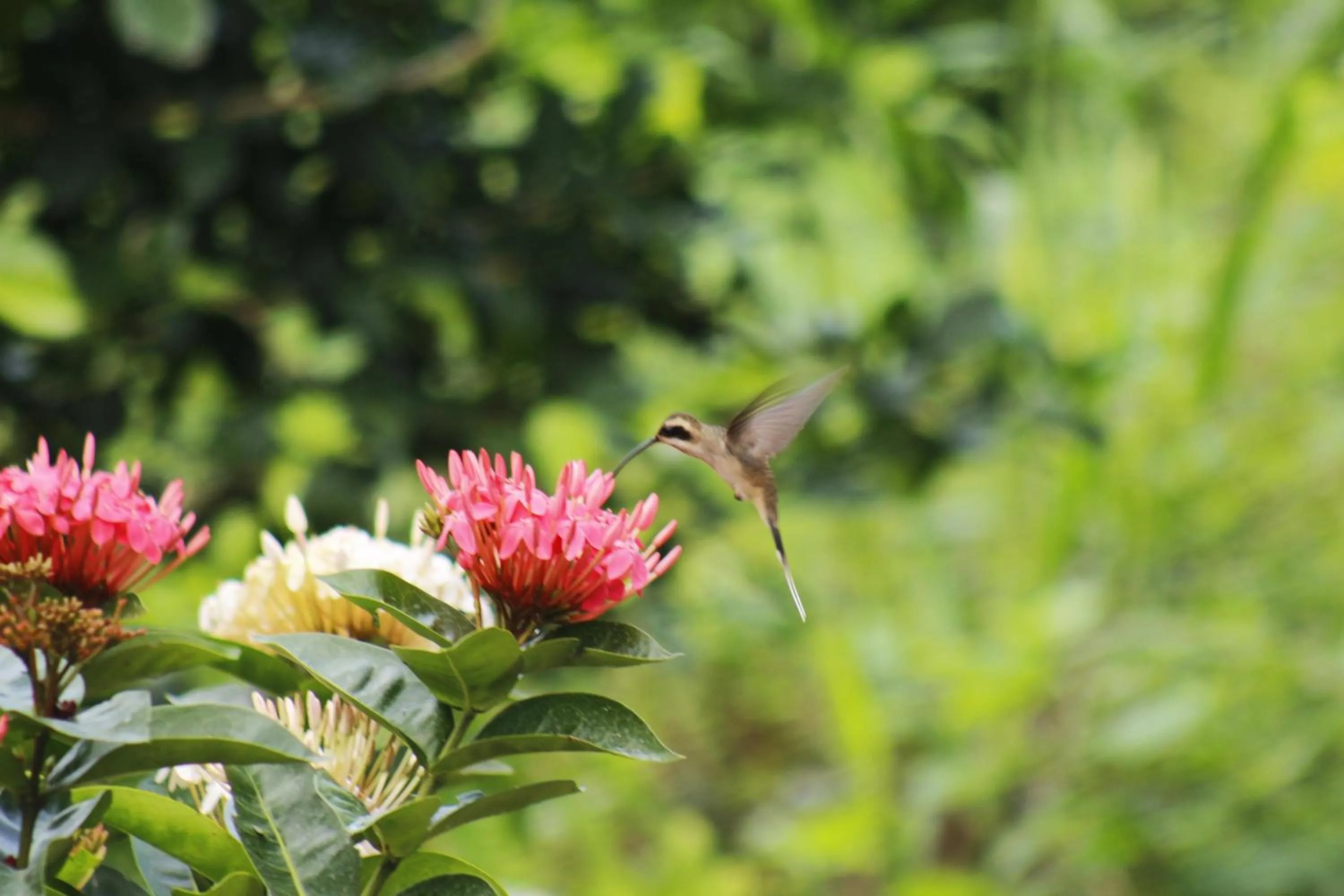 Off site in Praba Hostel