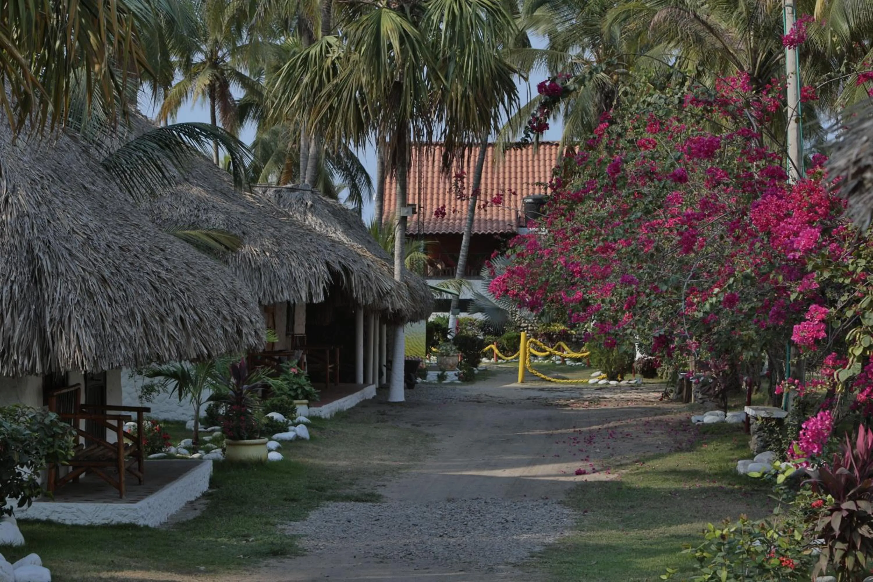 Garden in Praba Hostel