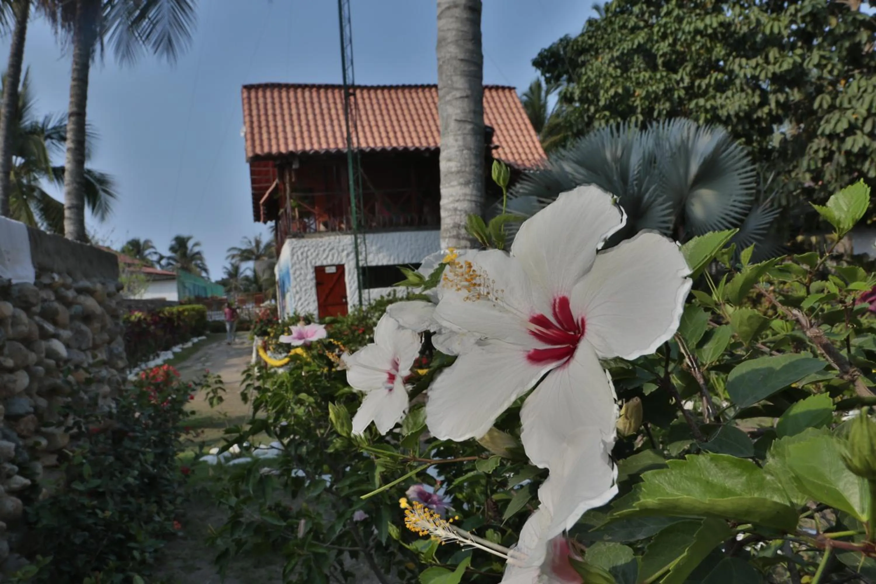 Garden in Praba Hostel