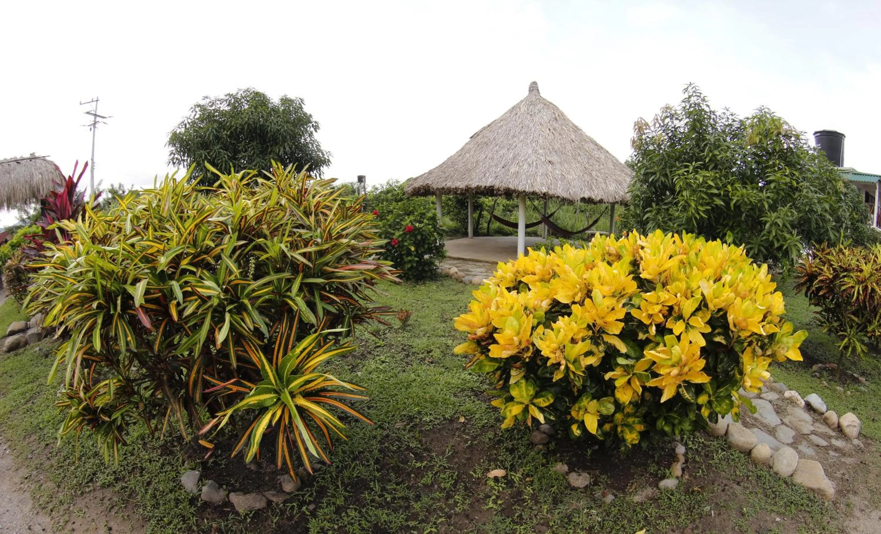 Garden in Praba Hostel